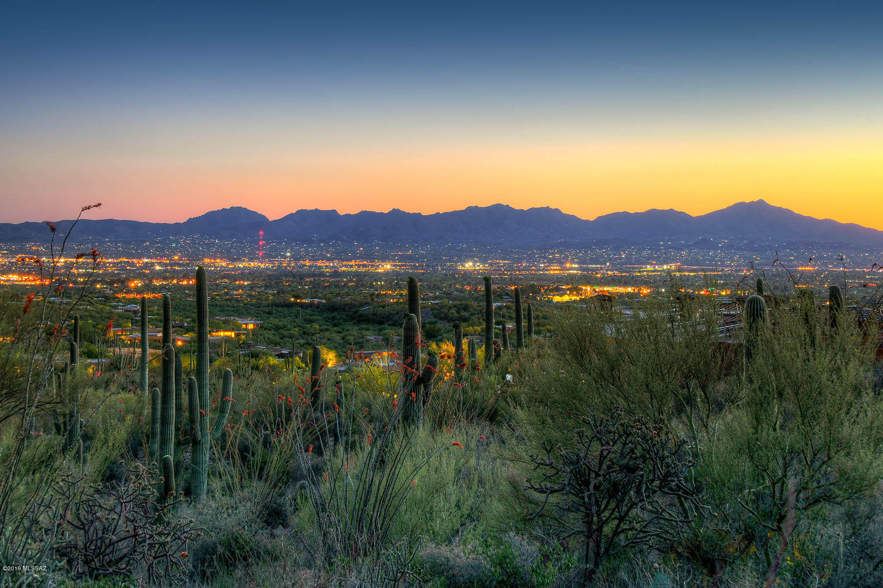 BORDERING THE CORONADO NATIONAL FOREST,  TOP OF THE WORLD BREATHTAKING  CITY, MOUNTAIN AND SUNSET VIEWS ARE CAPTURED FROM THE HIGHEST 3.3 ACRE HOMESITE IN 
PRESTIGIOUS GATED PIMA CANYON.  INCREDIBLE FEATURES INCLUDE PRISTINE DESERT FOLIAGE , EXPANSIVE FOREST OF SAGUAROS AND RUGGED CANYONS. 
THIS EXCEPTIONAL  HOMESITE  LENDS ITSELF TO A SERENE SENSE OF DESERT PRIVACY, AMAZING VIEW CORRIDORS AND EASY SITE PREP. PRELIMINARY HOUSE PLANS DESIGNED
BY ARCHITECT MARIANO RODRIGUEZ CAPTURING THIS MAJESTIC SETTING ARE AVAILABLE.THIS IS A RARE OPPORTUNITY TO OWN SUCH A DESIRABLE HOMESITE YET IS CLOSE TO EVERYTHING YOU WANT. DRONE VIDEO LOCATED UNDER PHOTOS/THEN VIDEO.