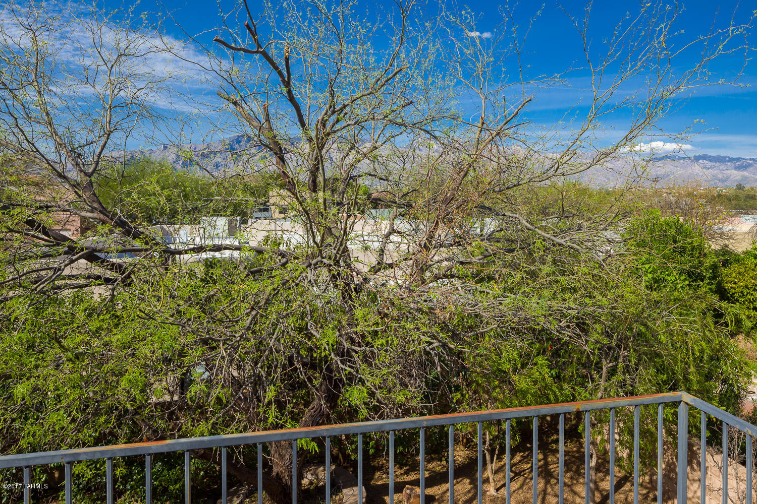 Enclave at Valley Ranch (1-41) - Residential