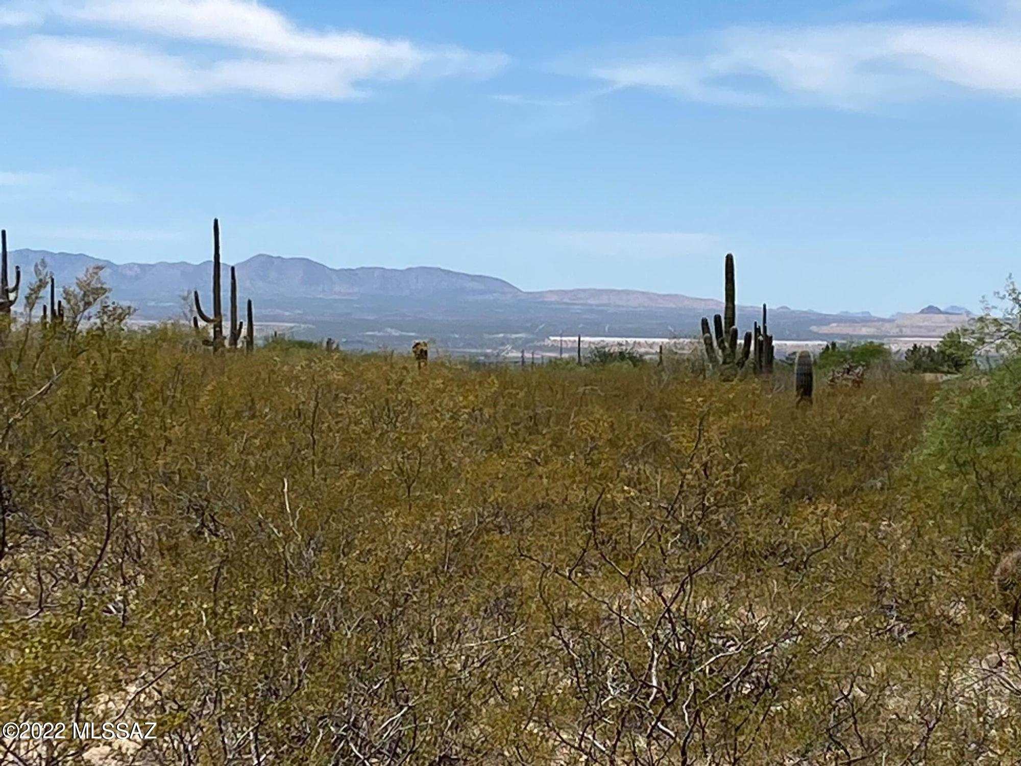 Nice Corner Lot with panoramic mountain views. Easy access to the city. Manufactured homes allowed. Ten acre parcel can be split to two 5 acre parcels. Needs well and septic. Lots of native vegetation.