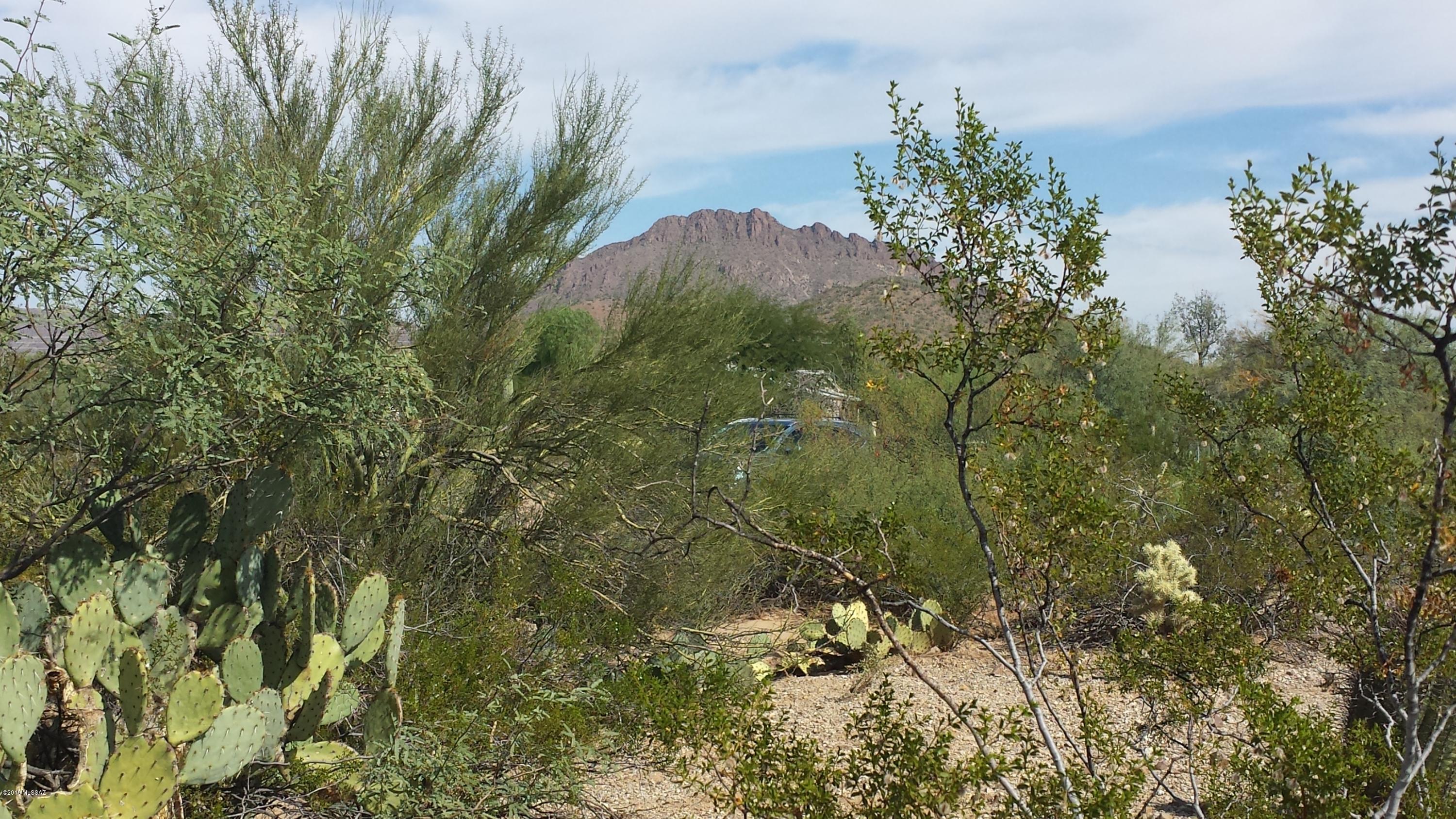 1 acre lot ready for site built home or manufactured home.  Nice Views and vegetation.  Tucson Water, Tucson Electric along Silver Bridel.  SEWER AVAILABLE West of property in easement.  TJ Bednar site built homes adjacent to West.  Lot split is complete.  Above Parcel number (and taxes) is for 4 acres prior to split.  Awaiting new parcel numbers for 4 - one acre lots.  Lot size is per survey.  Check with Pima County re: permits/fees/requirements to put home on lot before writing offer.  Owner is a Licensed Associate Real Estate Broker in Arizona.  A second cell tower is planned to the north of the existing cell tower on the property adjacent to Bopp Rd.