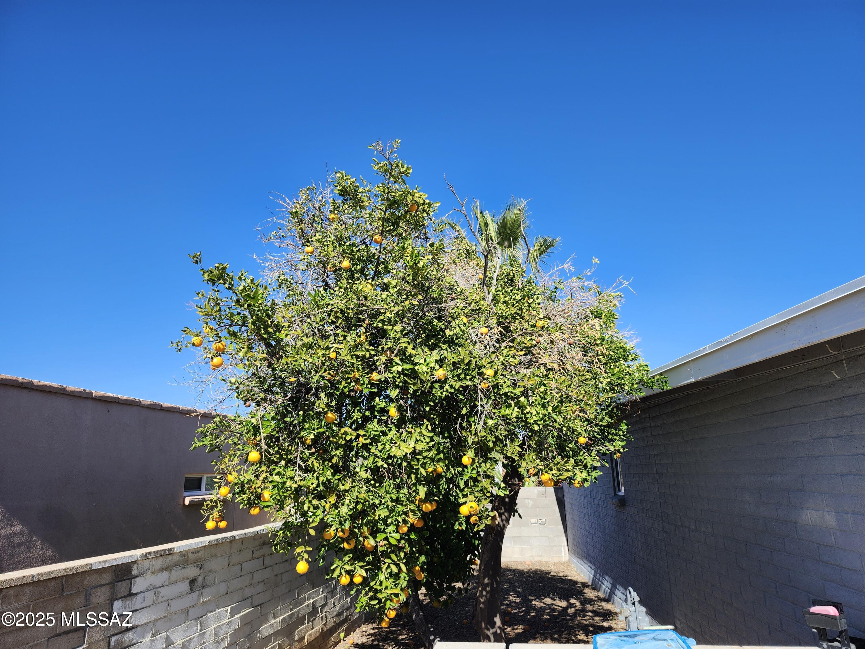Rincon Vista (1-28) - Residential Lease