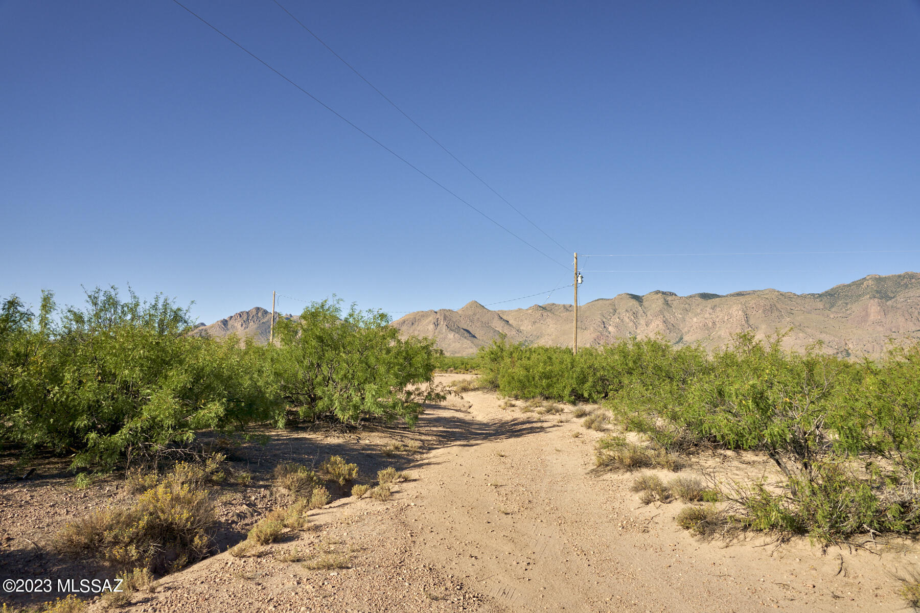 Out Of Pima County - Land