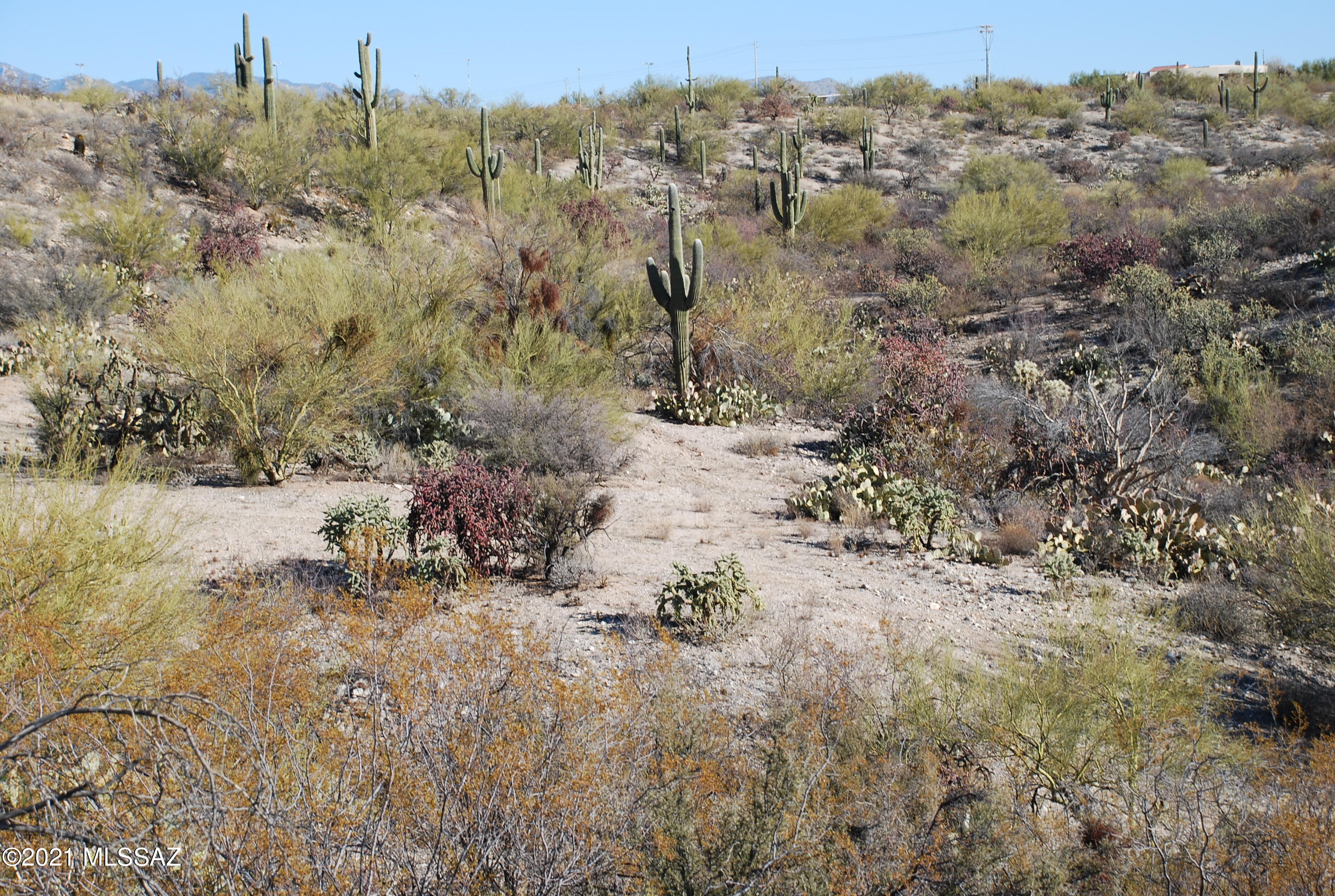 Rancho Cancion West (1-150) - Land