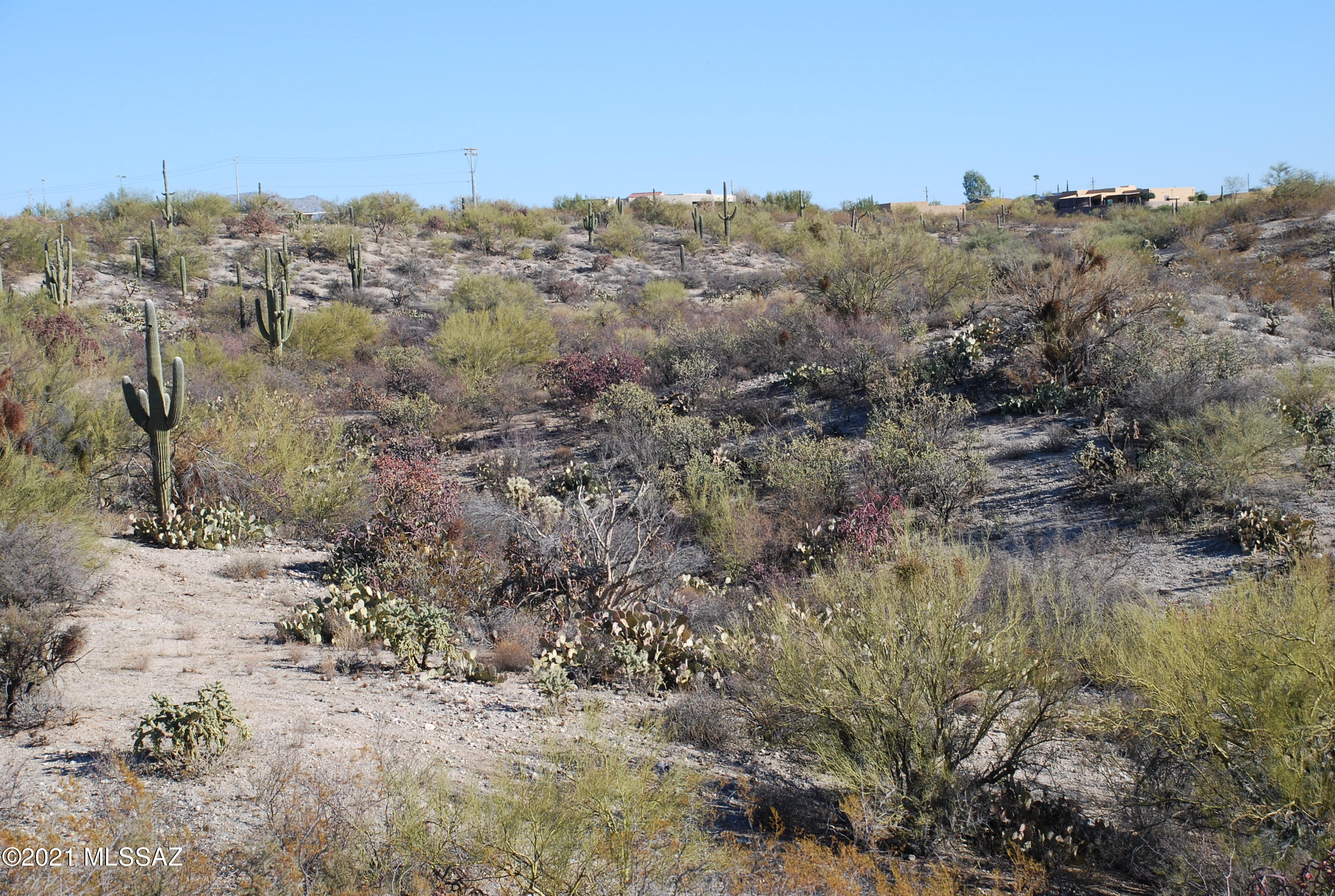 Rancho Cancion West (1-150) - Land