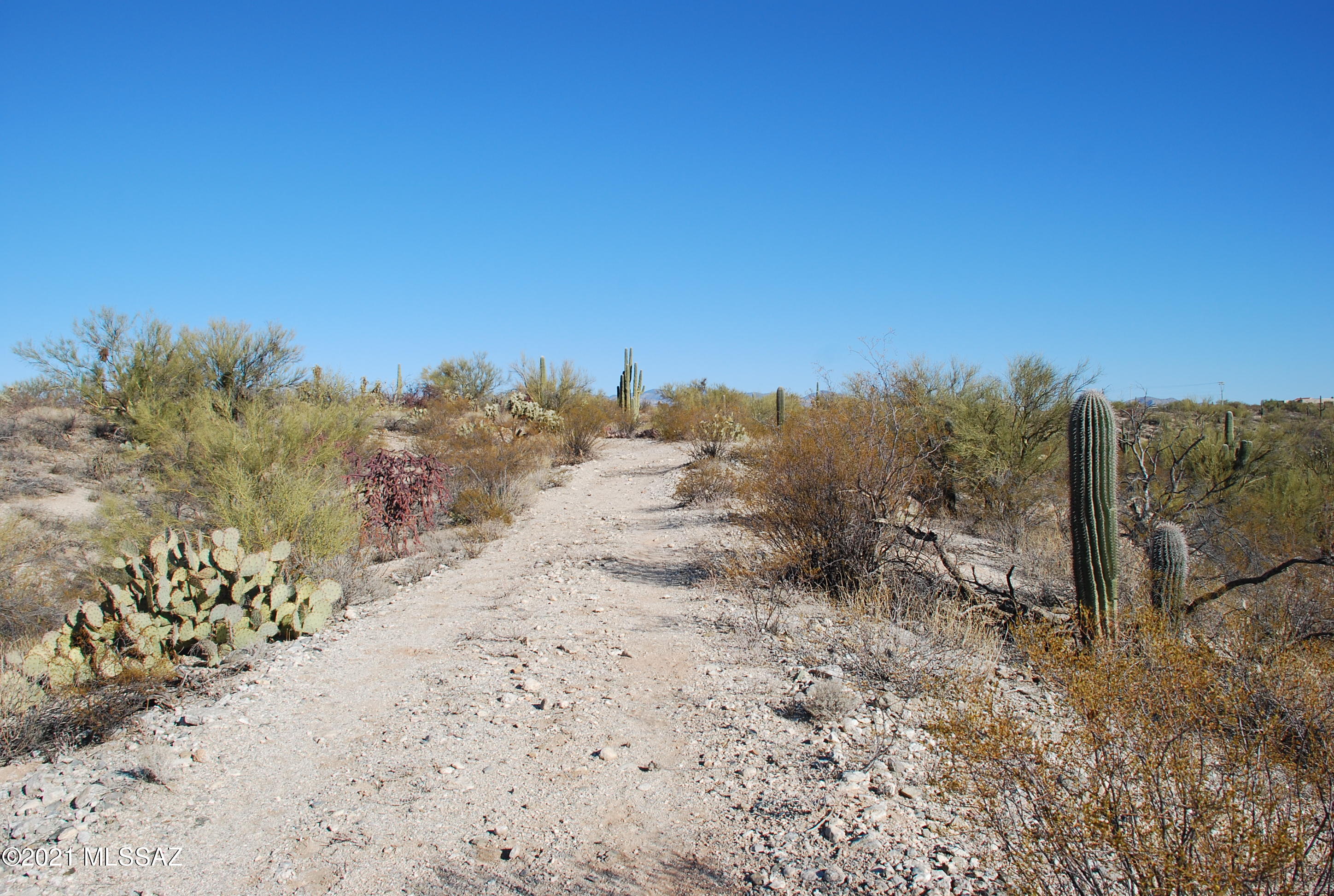 Rancho Cancion West (1-150) - Land