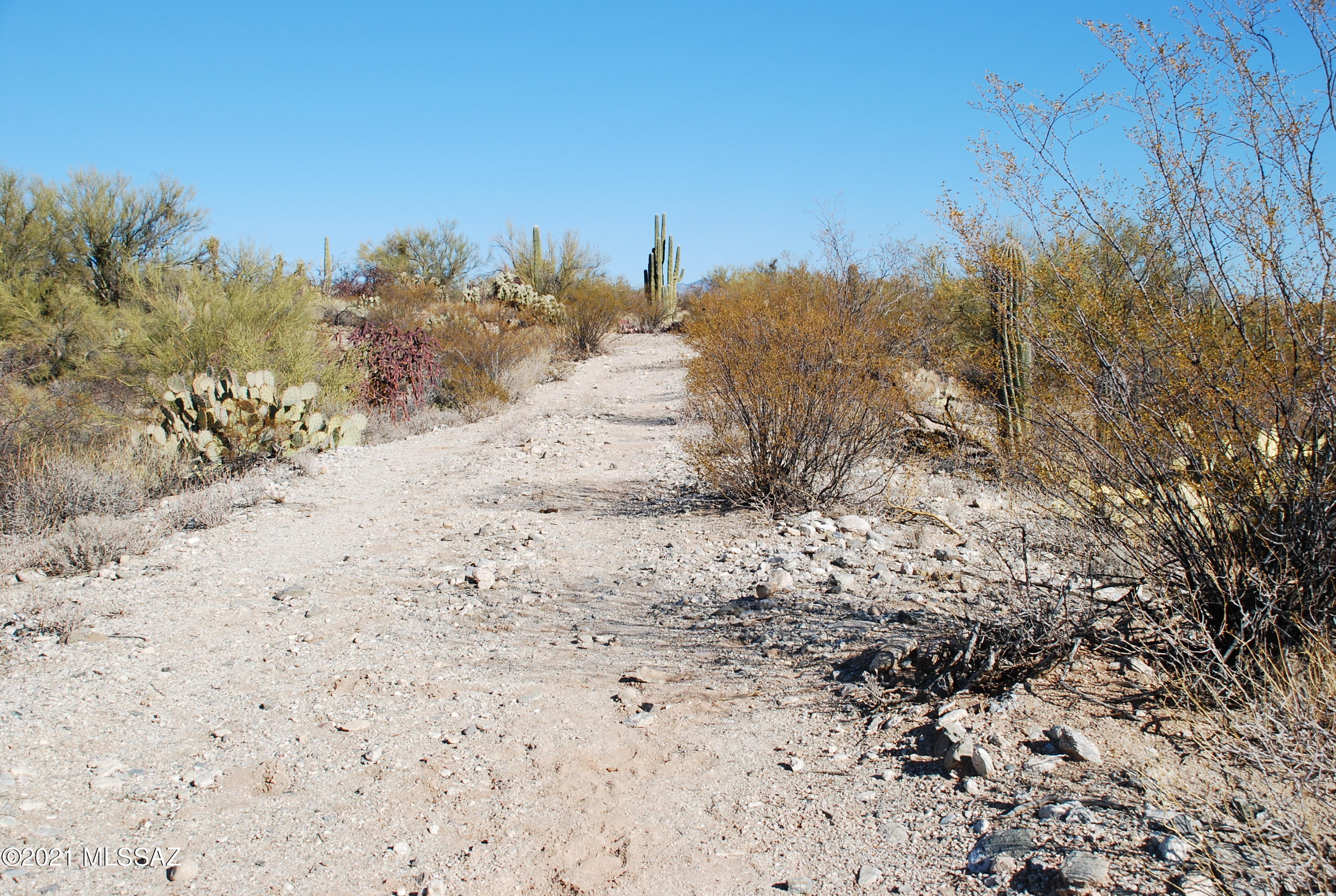 Rancho Cancion West (1-150) - Land
