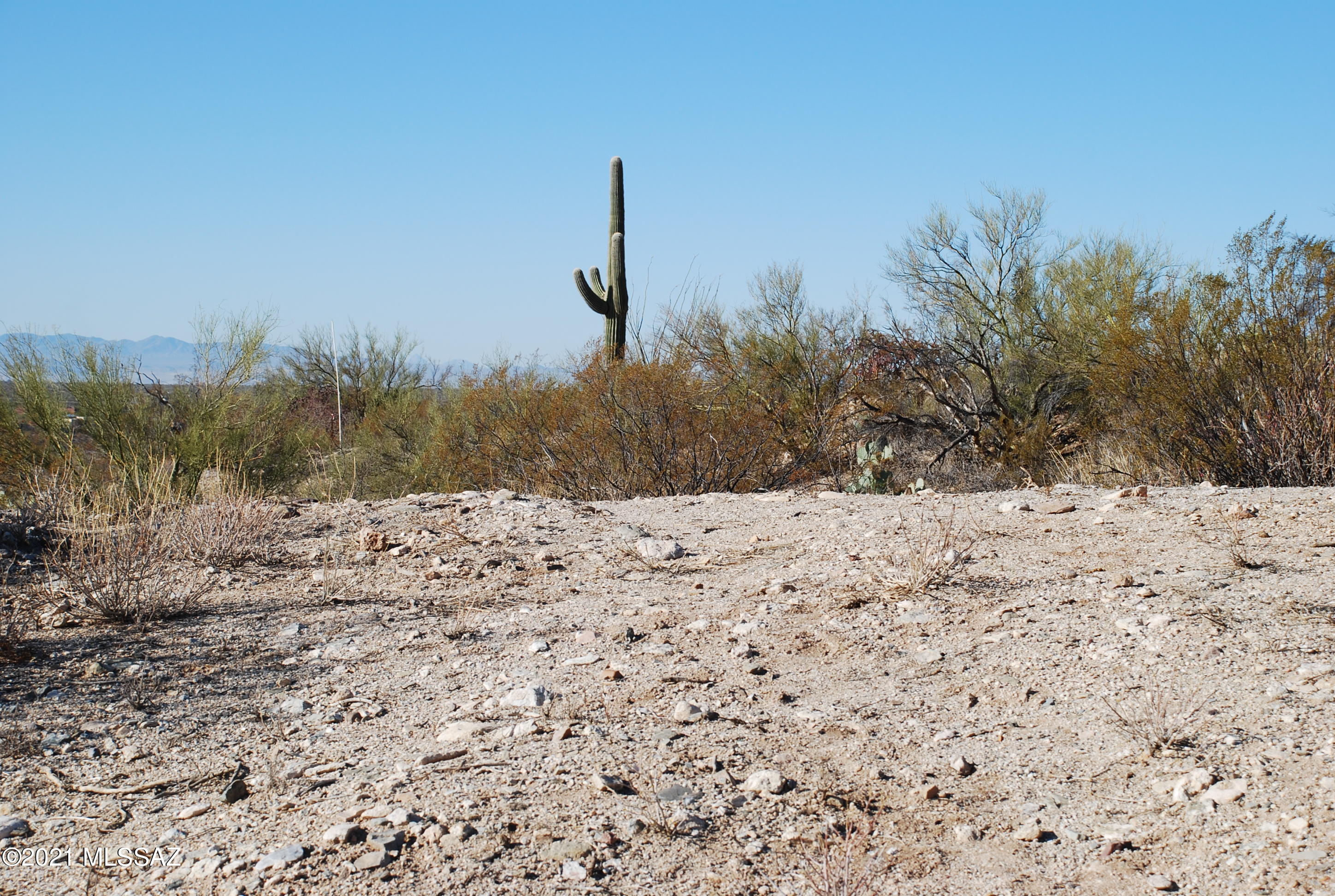 Rancho Cancion West (1-150) - Land