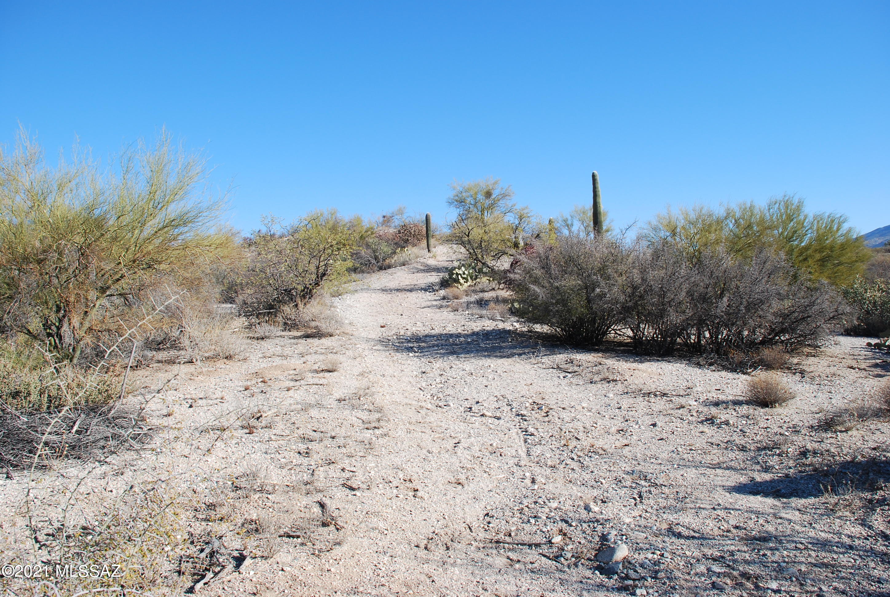 Rancho Cancion West (1-150) - Land