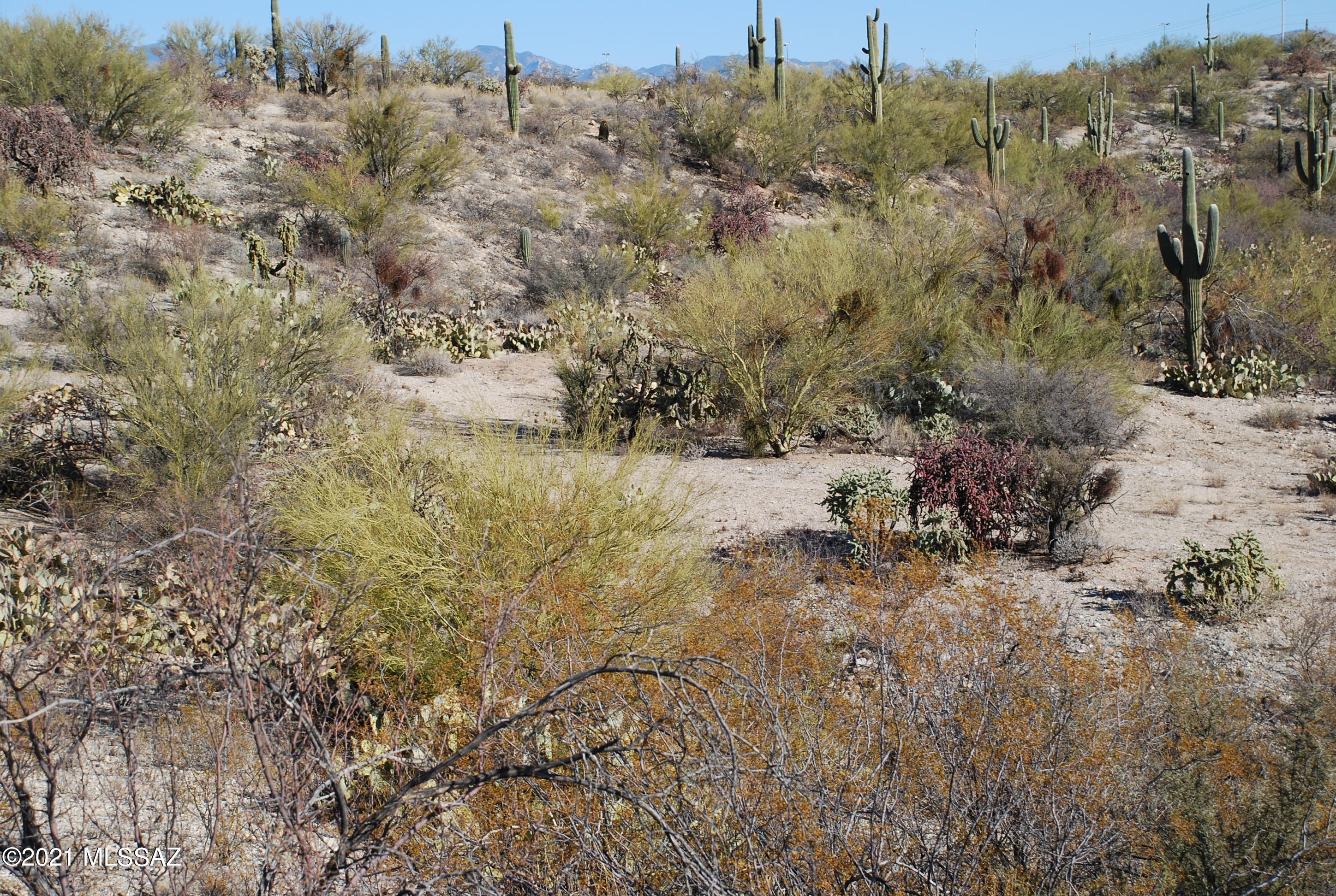 Rancho Cancion West (1-150) - Land