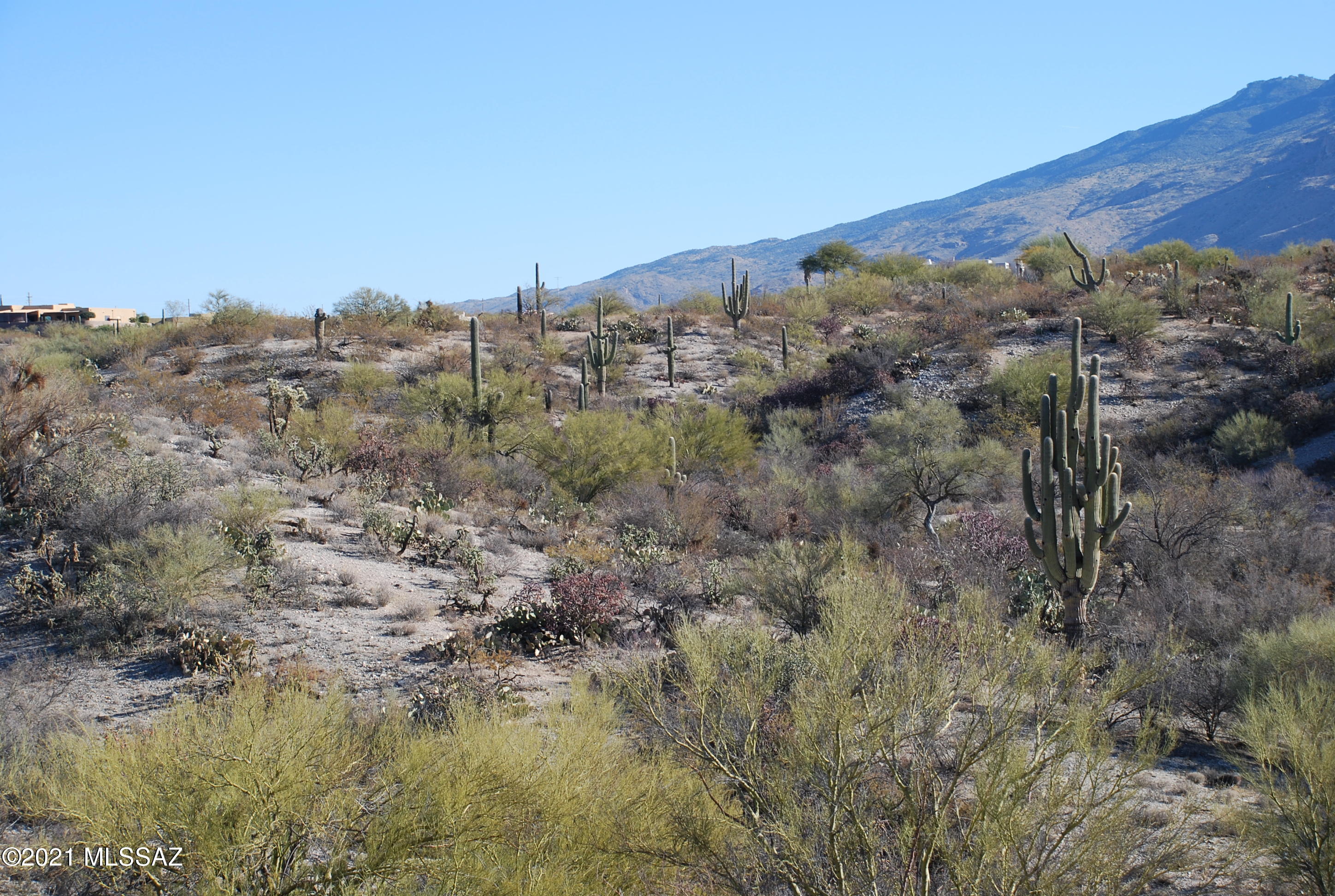 Rancho Cancion West (1-150) - Land