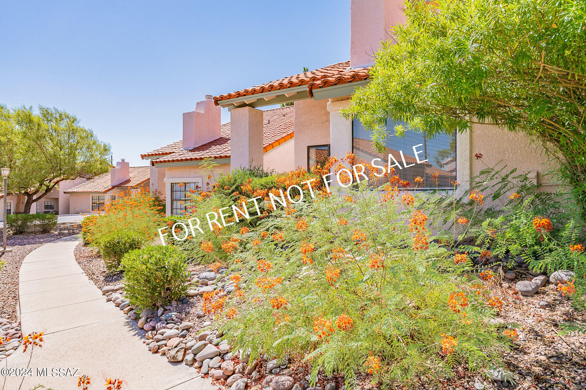 Tierra Catalina Condominium (1-120) - Residential Lease