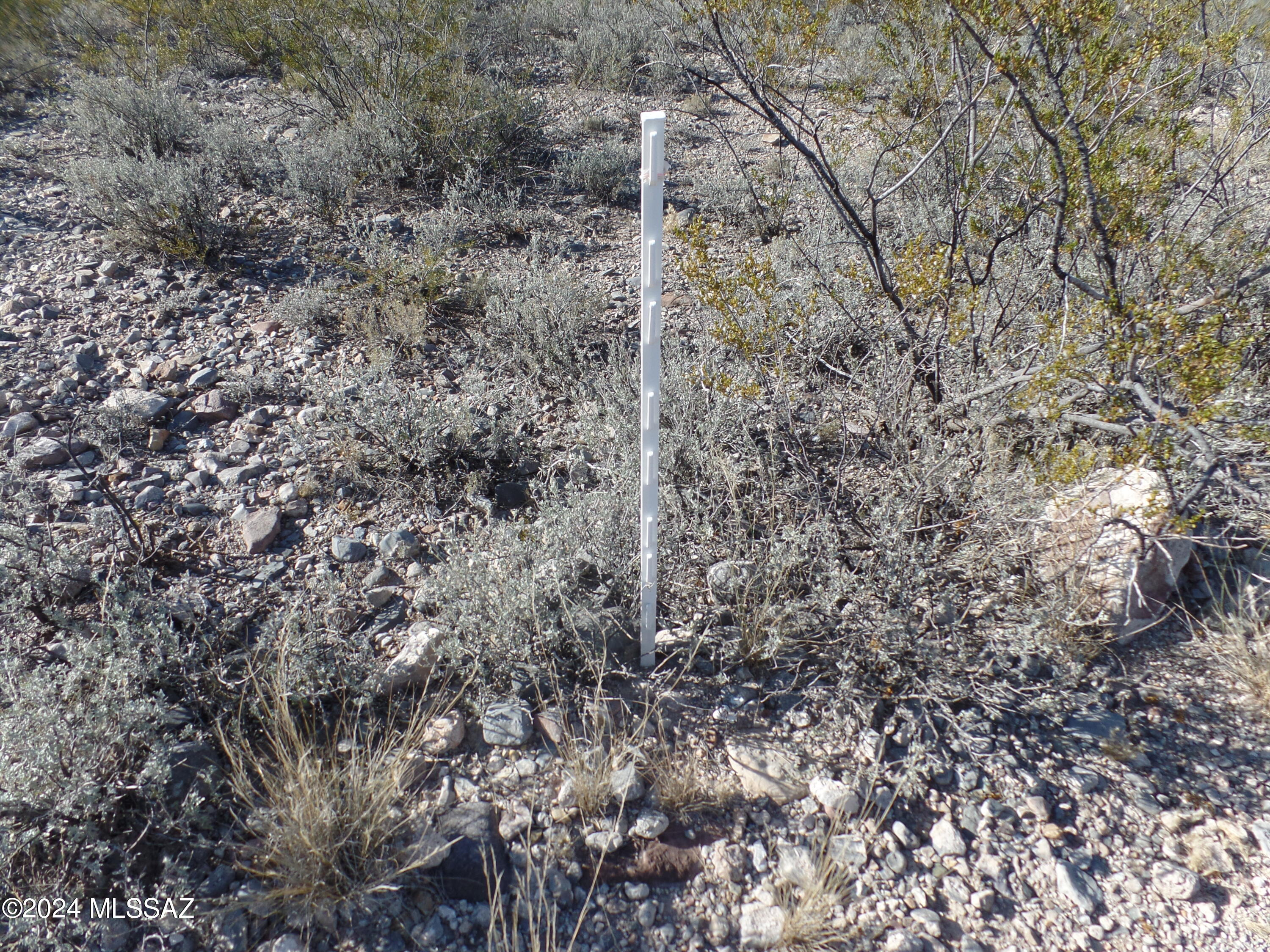 Tombstone Territory Estates Unit 1 - Land