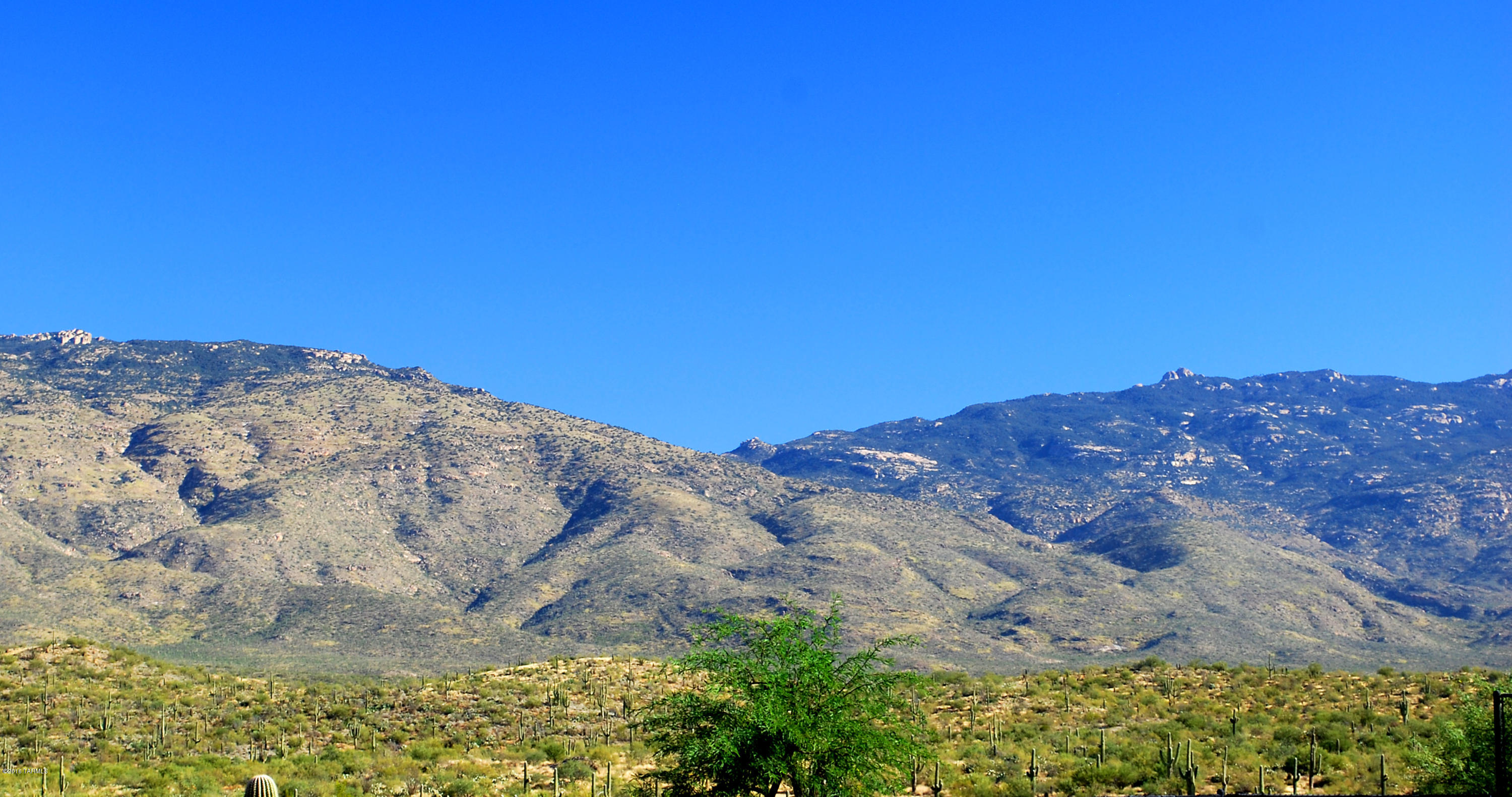 Coyote Creek (1-395) - Land