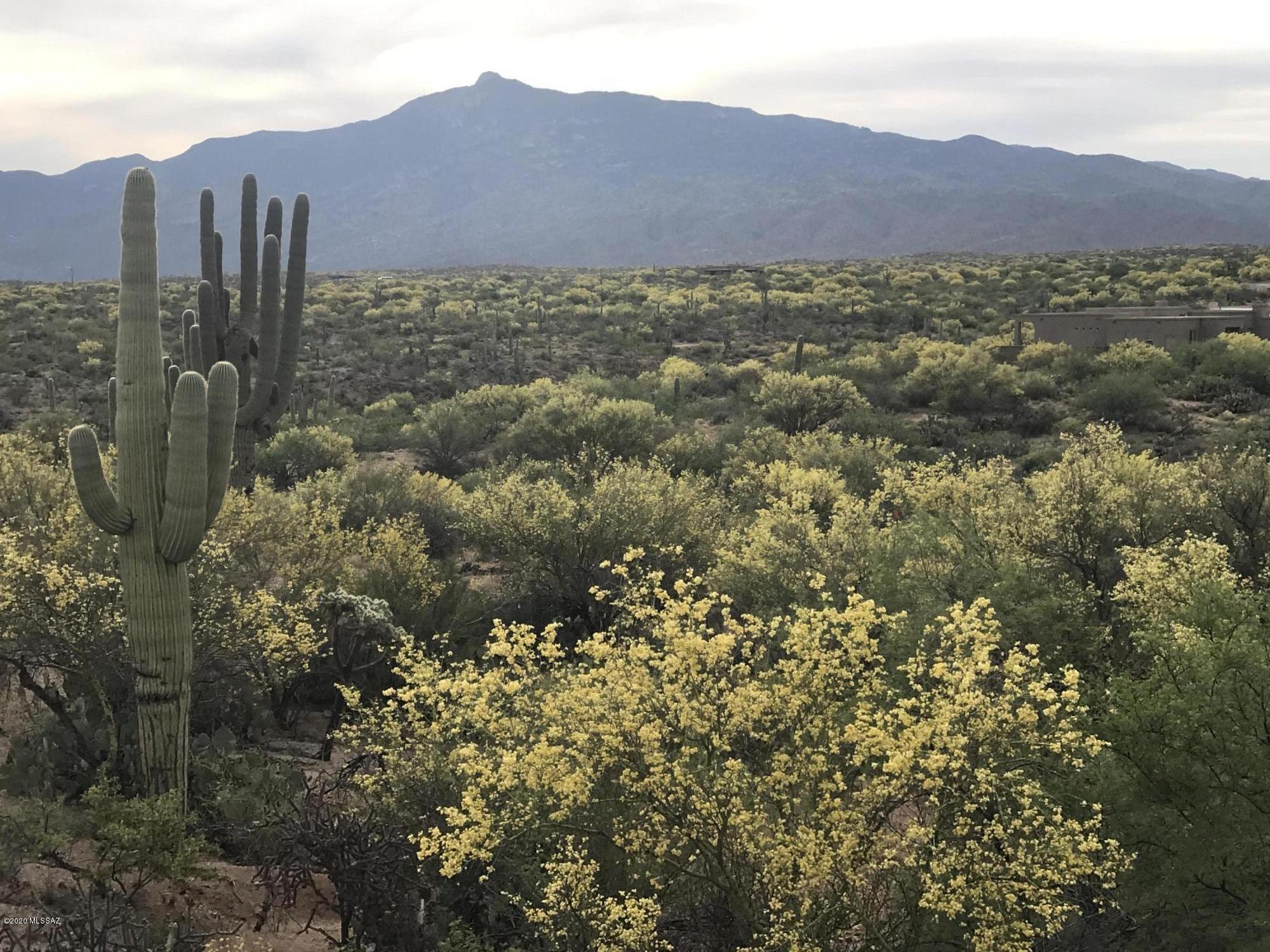 1.18 acres .  Amazing views.  Great access to the CC rec center. Use one of our preferred builders or bring your own. Coyote Creek situated on 1000 acres in the Rincon Valley Foothills. A+++ Vail School District, Rec center, Equestrian Center, dedicated trails. Selling fast don't miss this opportunity. 
Bridge across Pantano to Valencia almost complete Raytheon, U of A Tech Park and Airport just got a lot closer