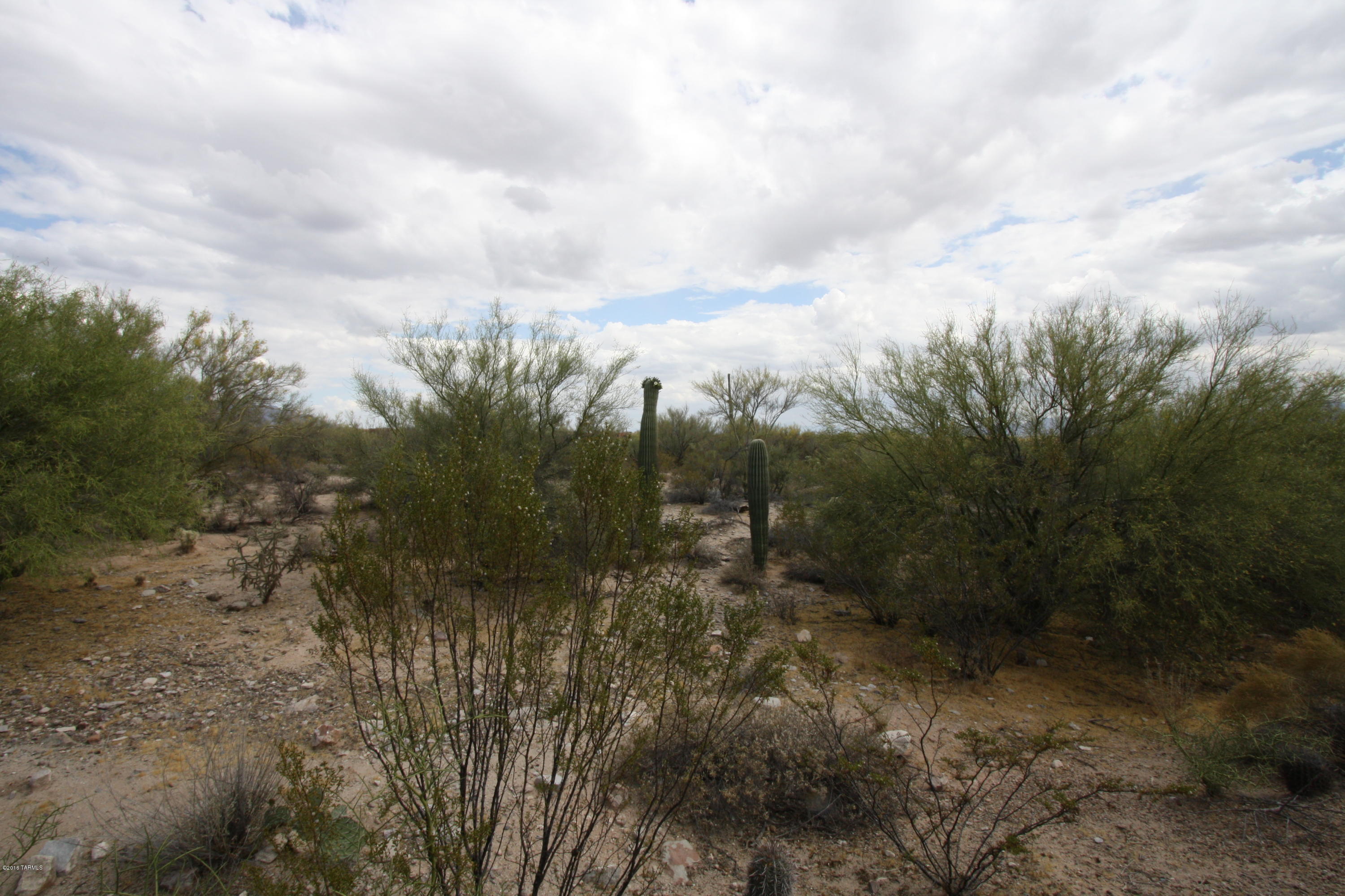 Preserve at Dove Mountain (1-182) - Residential Lease