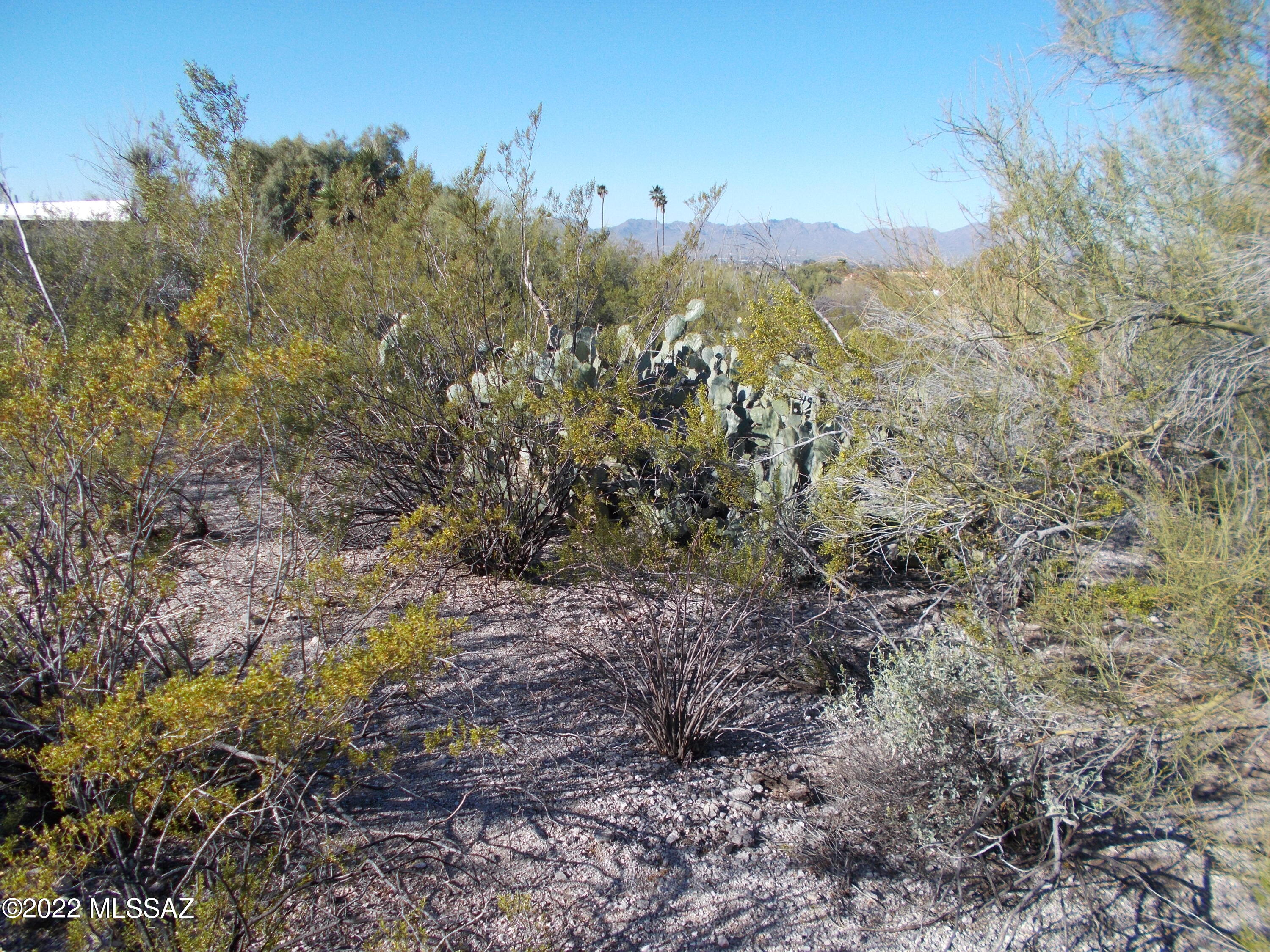 Santa Catalina Estates NO. 4 (1-180) - Land