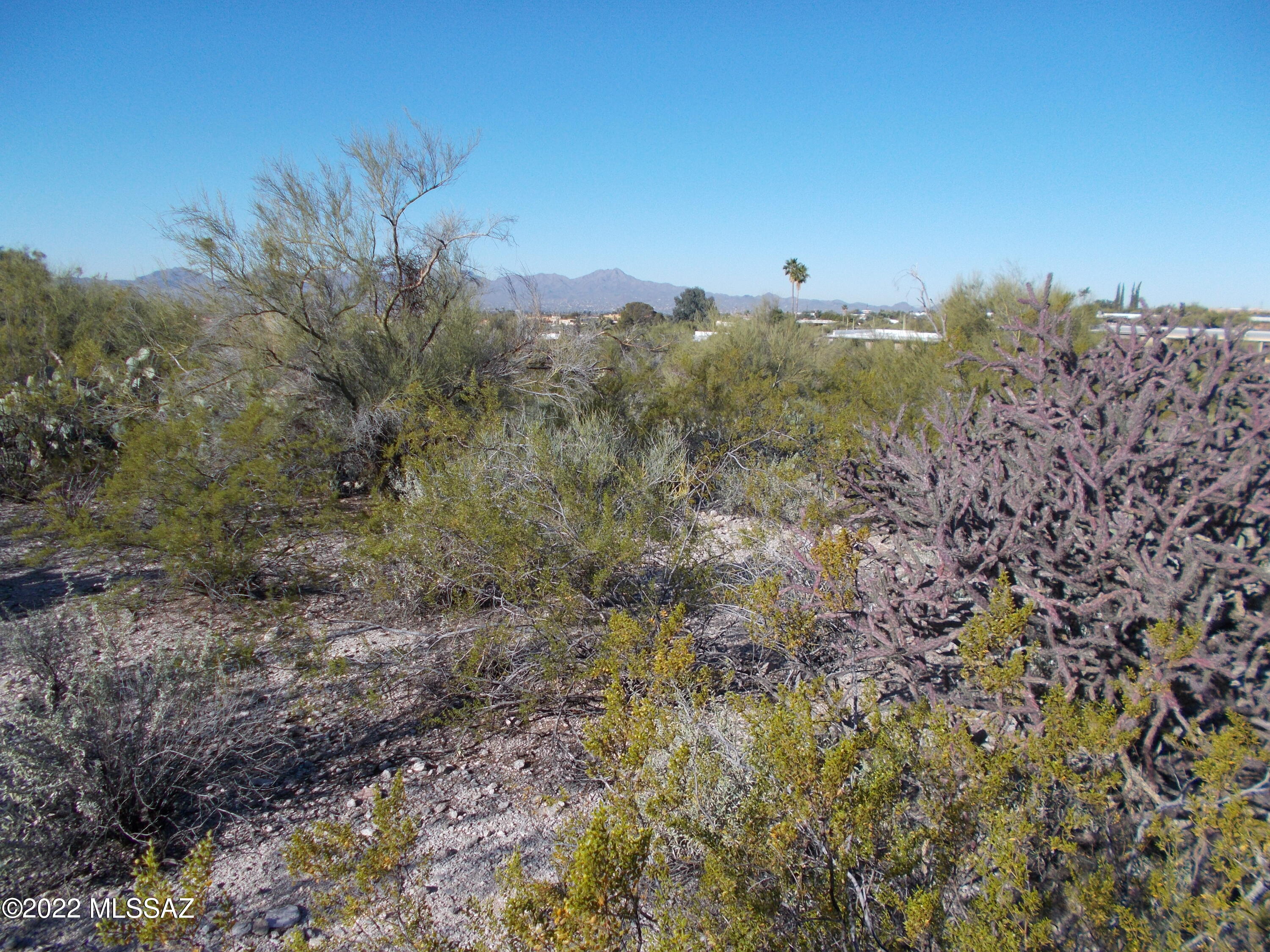 Santa Catalina Estates NO. 4 (1-180) - Land