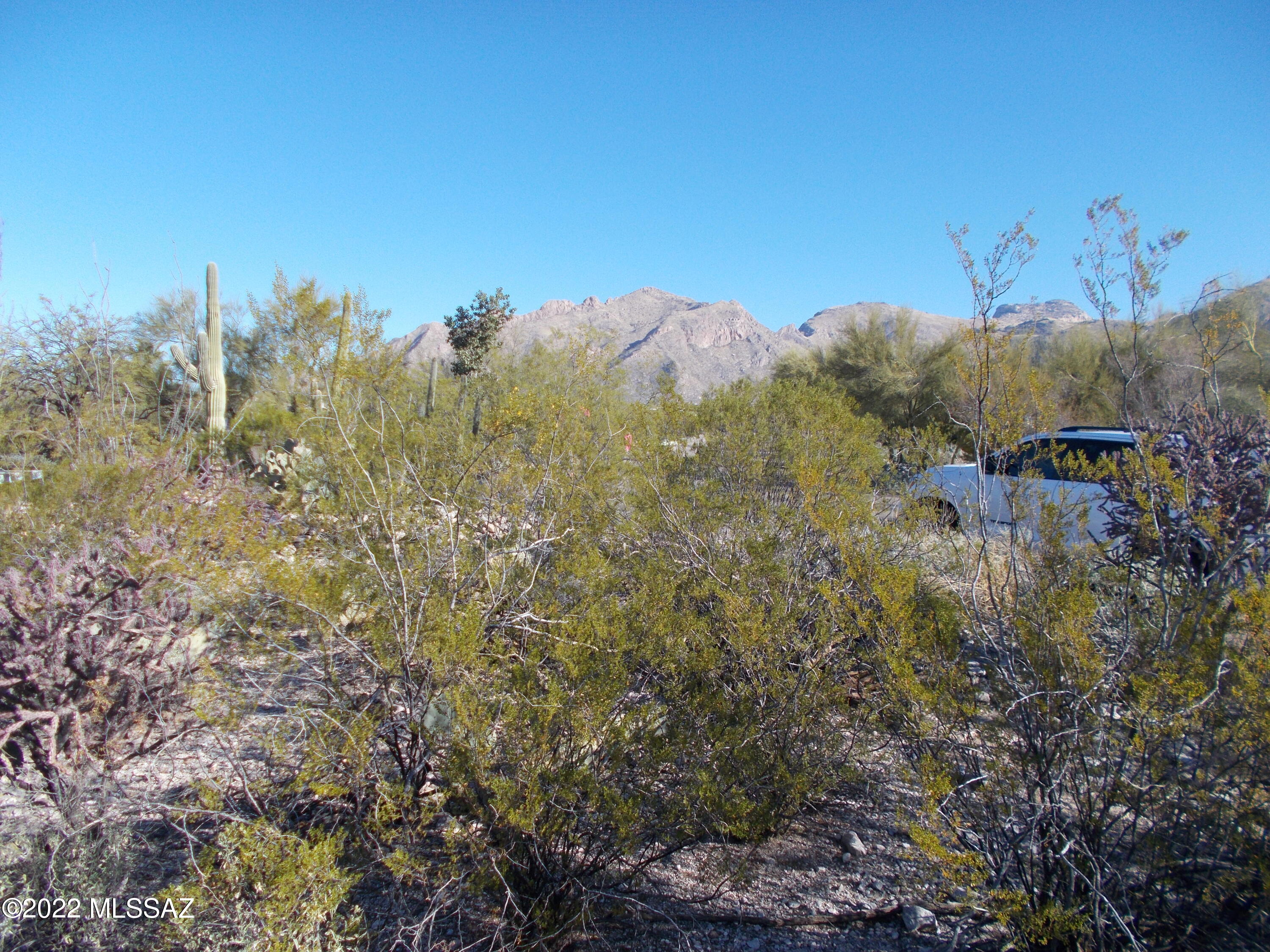 Santa Catalina Estates NO. 4 (1-180) - Land