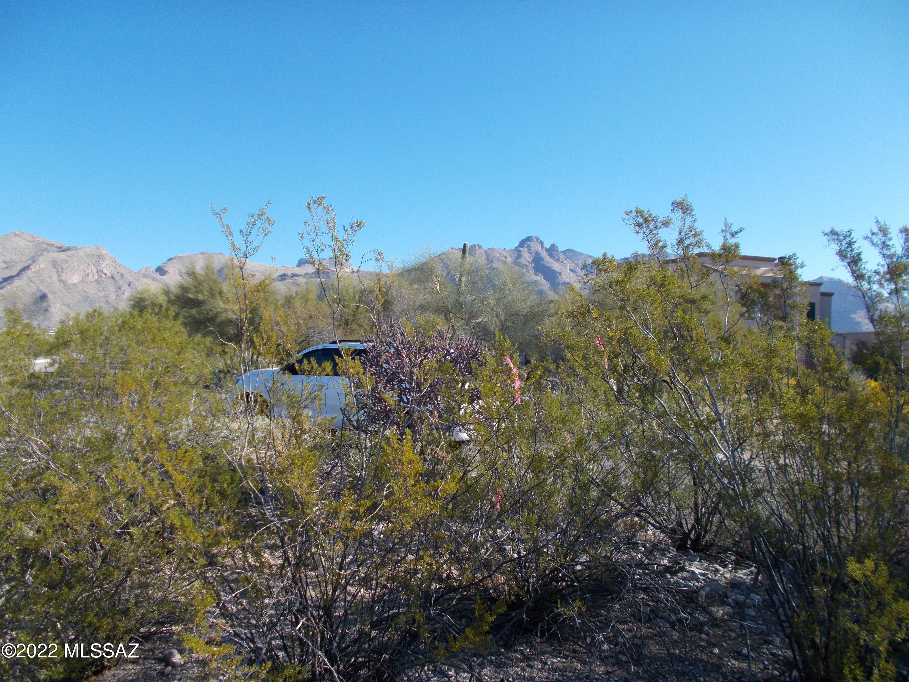 Santa Catalina Estates NO. 4 (1-180) - Land