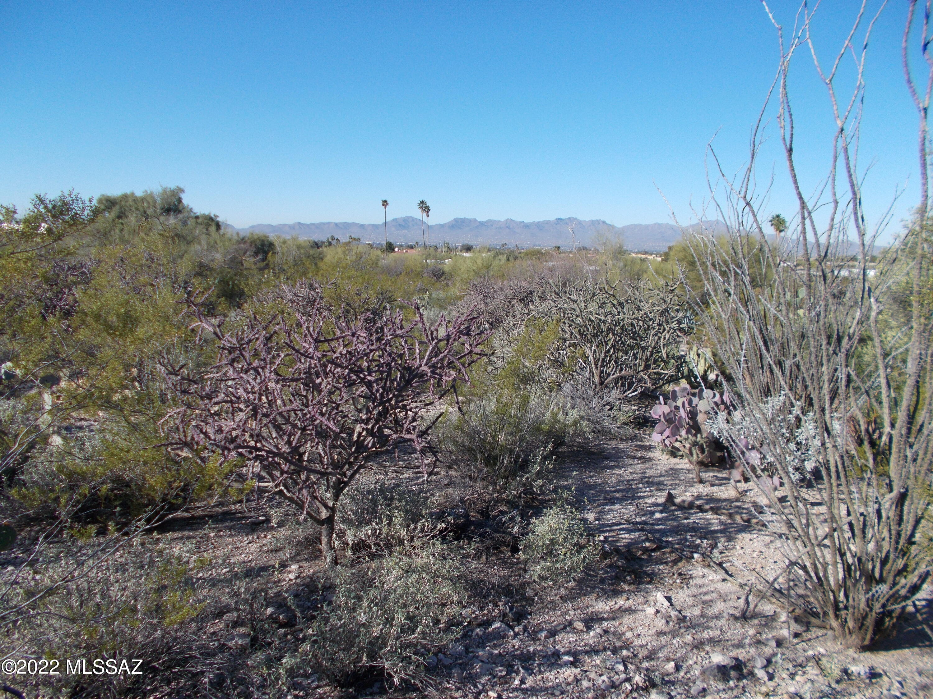 RARELY AVAILABLE, approximately 1 acre Foothills site, one block away from Orange Grove Elementary. LUSHLY vegetated with backyard views of city lights and the Tucson Mountains to the west and the Catalina Mountains to the north. All utilities available to the site including sewer. Surrounding homes are already built. Fabulous location, District 16 schools and affordable price makes the a must see. Ask about excellent lot loans available.