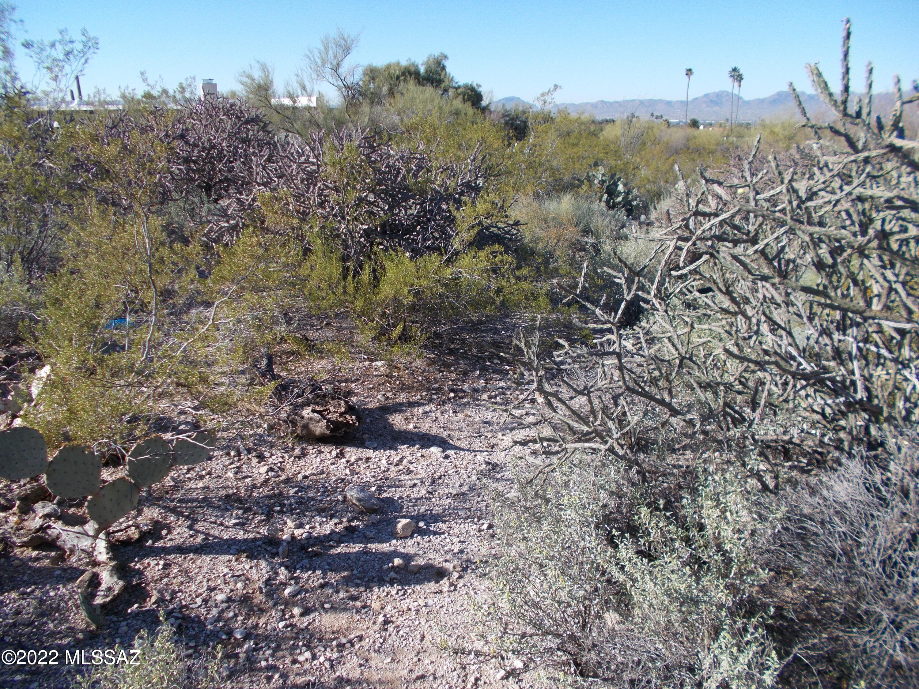 Santa Catalina Estates NO. 4 (1-180) - Land