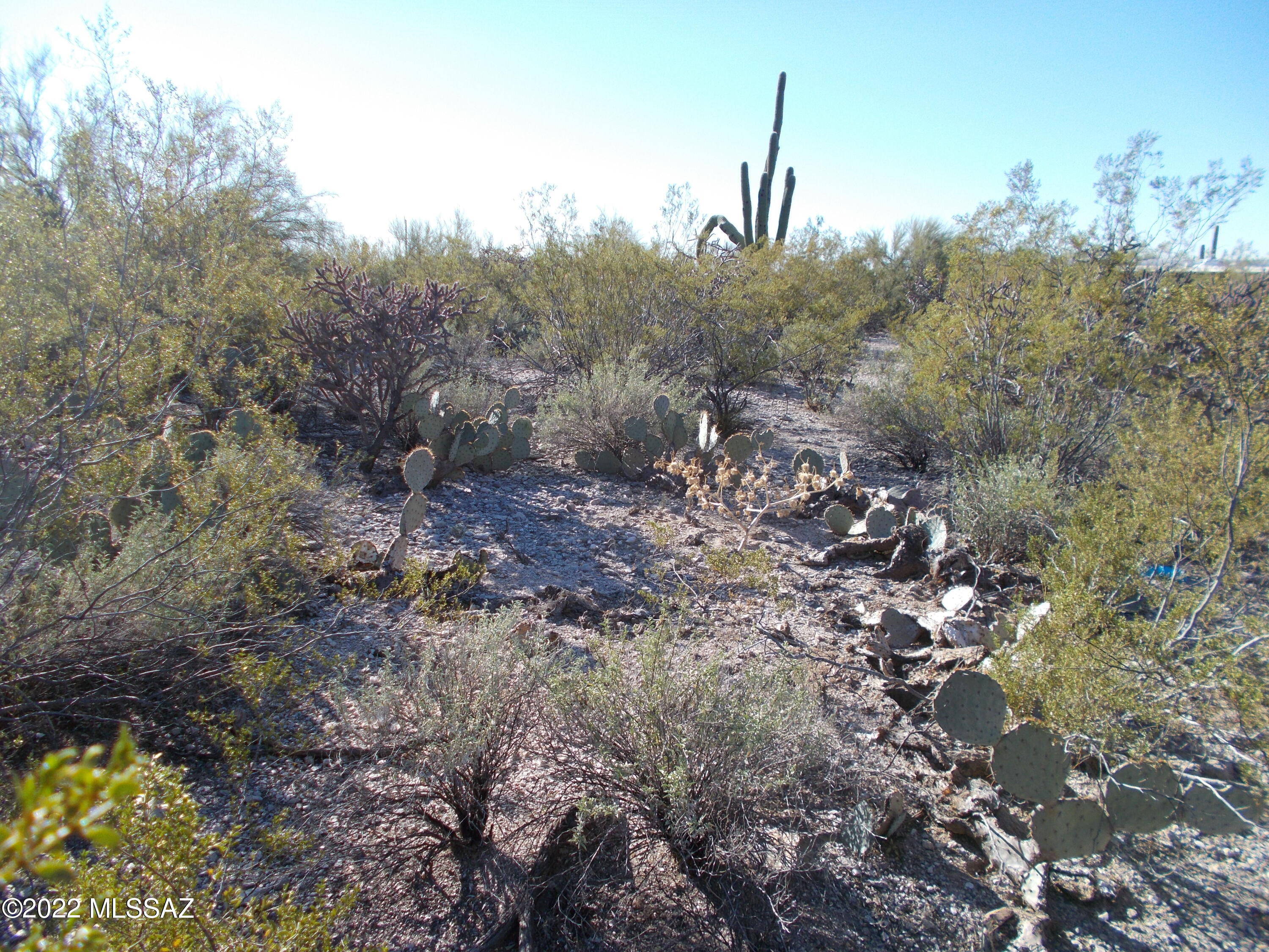 Santa Catalina Estates NO. 4 (1-180) - Land