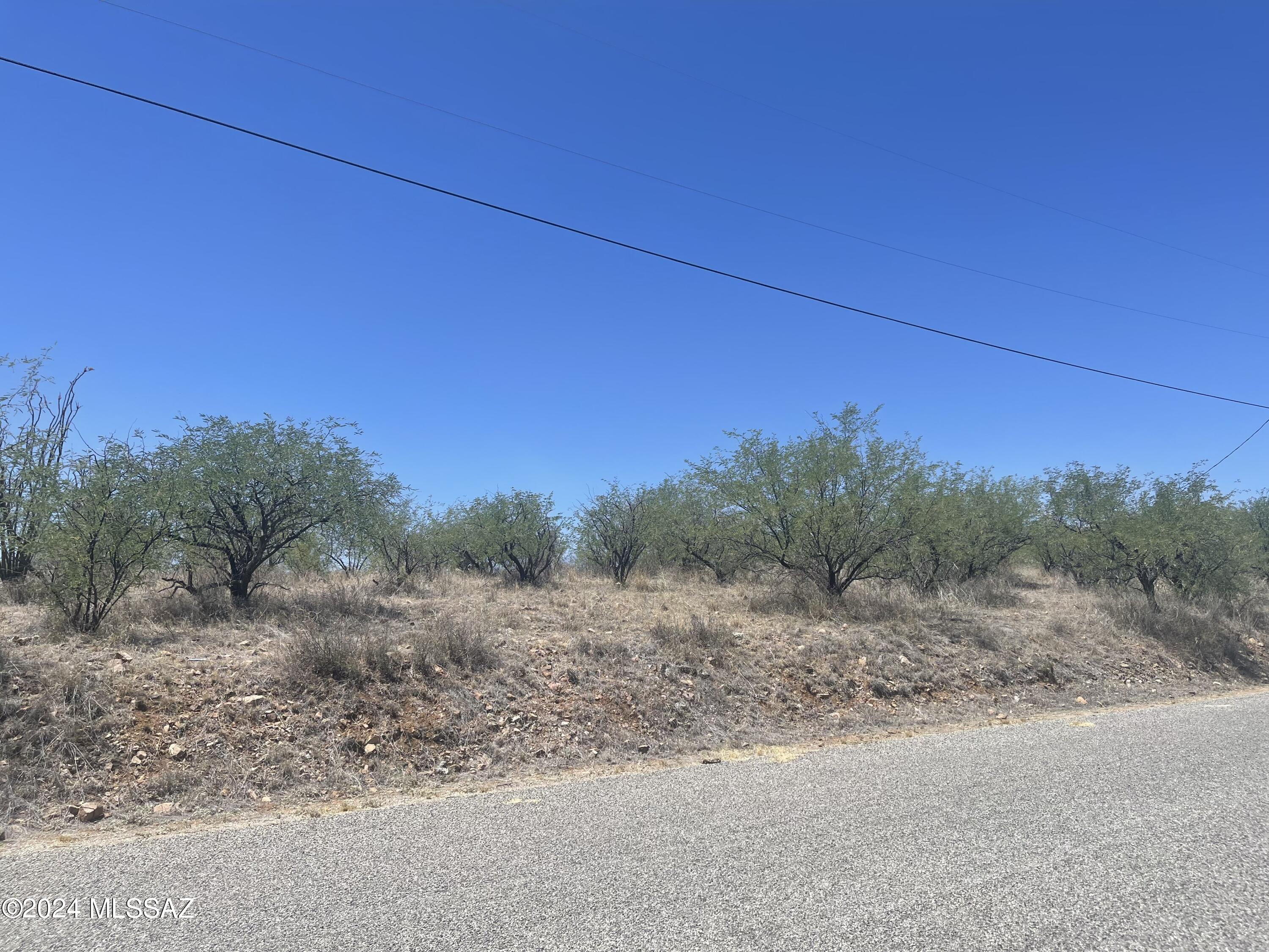 Rio Rico Ranchettes 17 - Land