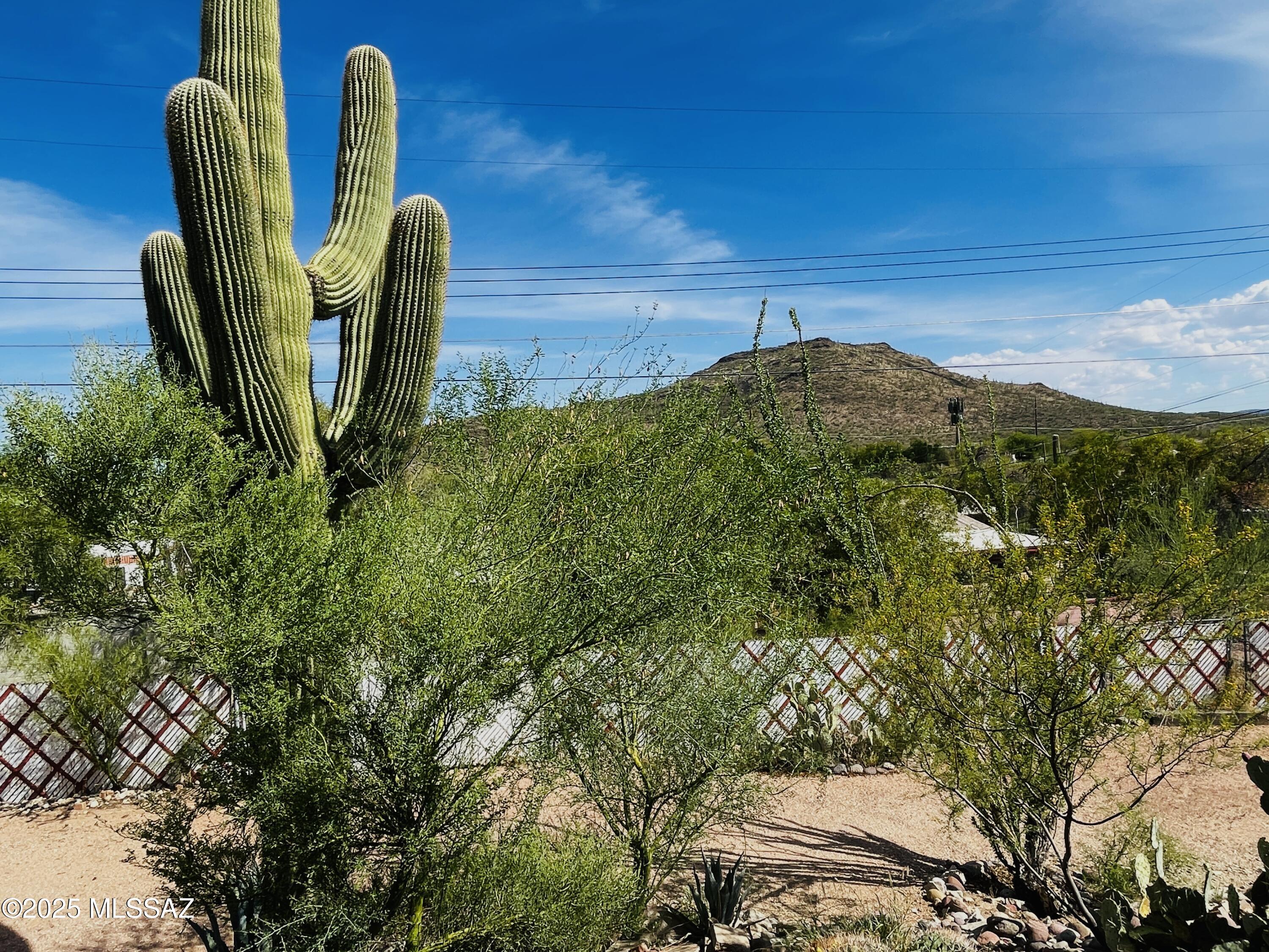 Desert Hills (1-82) - Residential Lease