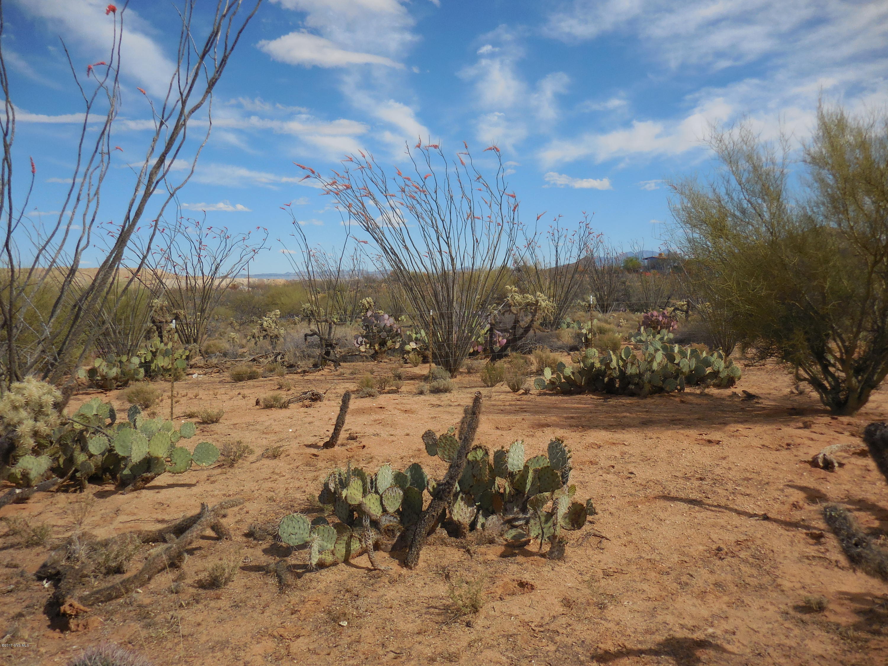 rural homesite. Level building lot.