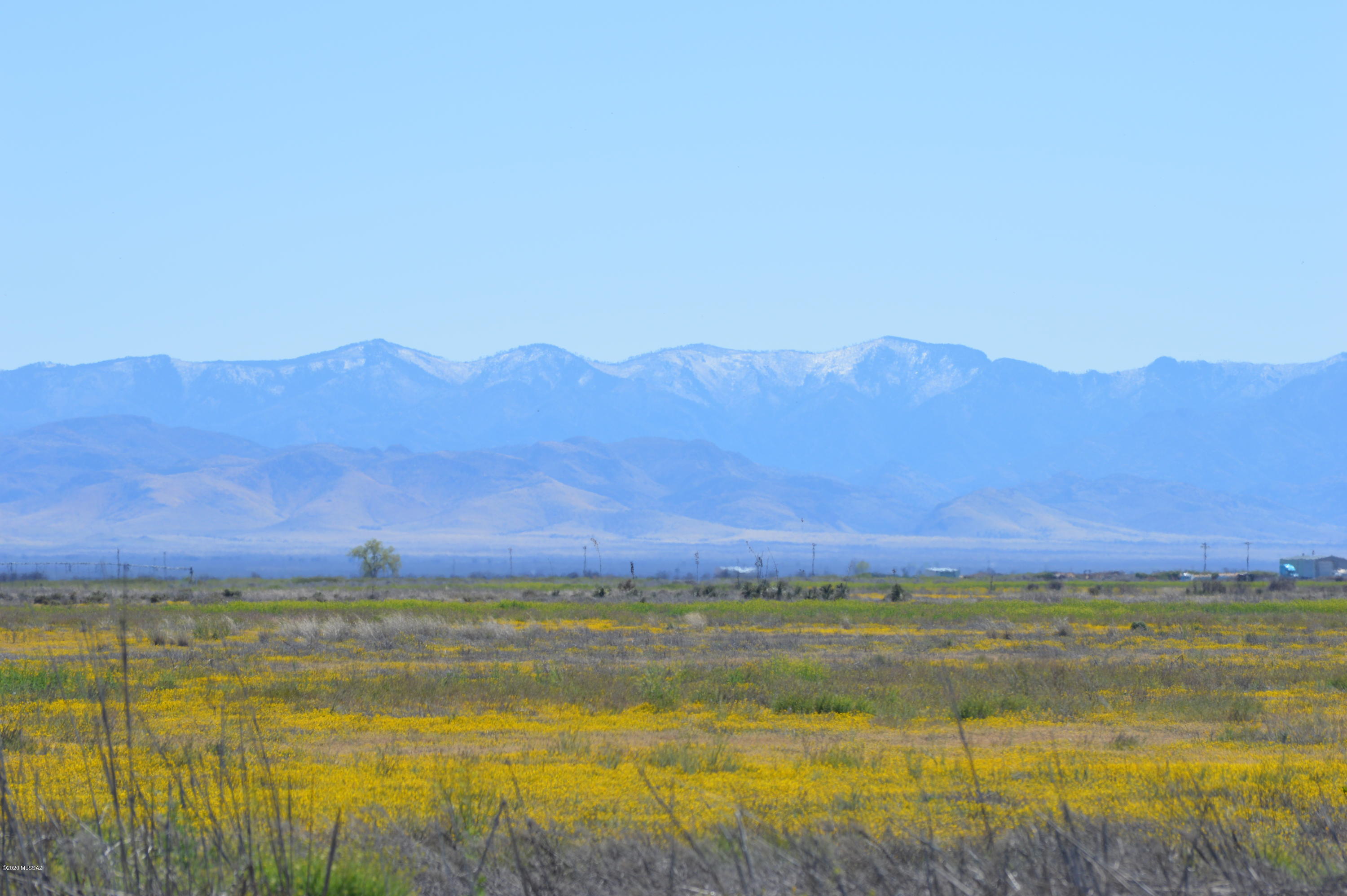 JUST REDUCED!  This property has been previously farmed, is free of mesquite, and has an irrigation well.  Beautiful 360 mountain views, great location for homestead, small ranch or farm.  Amended survey done in 2015 and well video report available.  SELLER FINANCING!