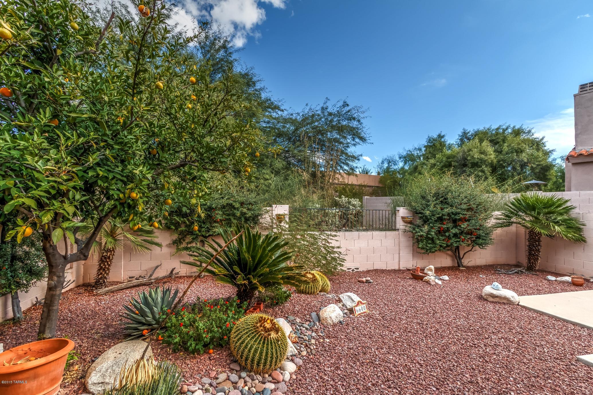 Sierra Catalina Estates (1-99) - Residential