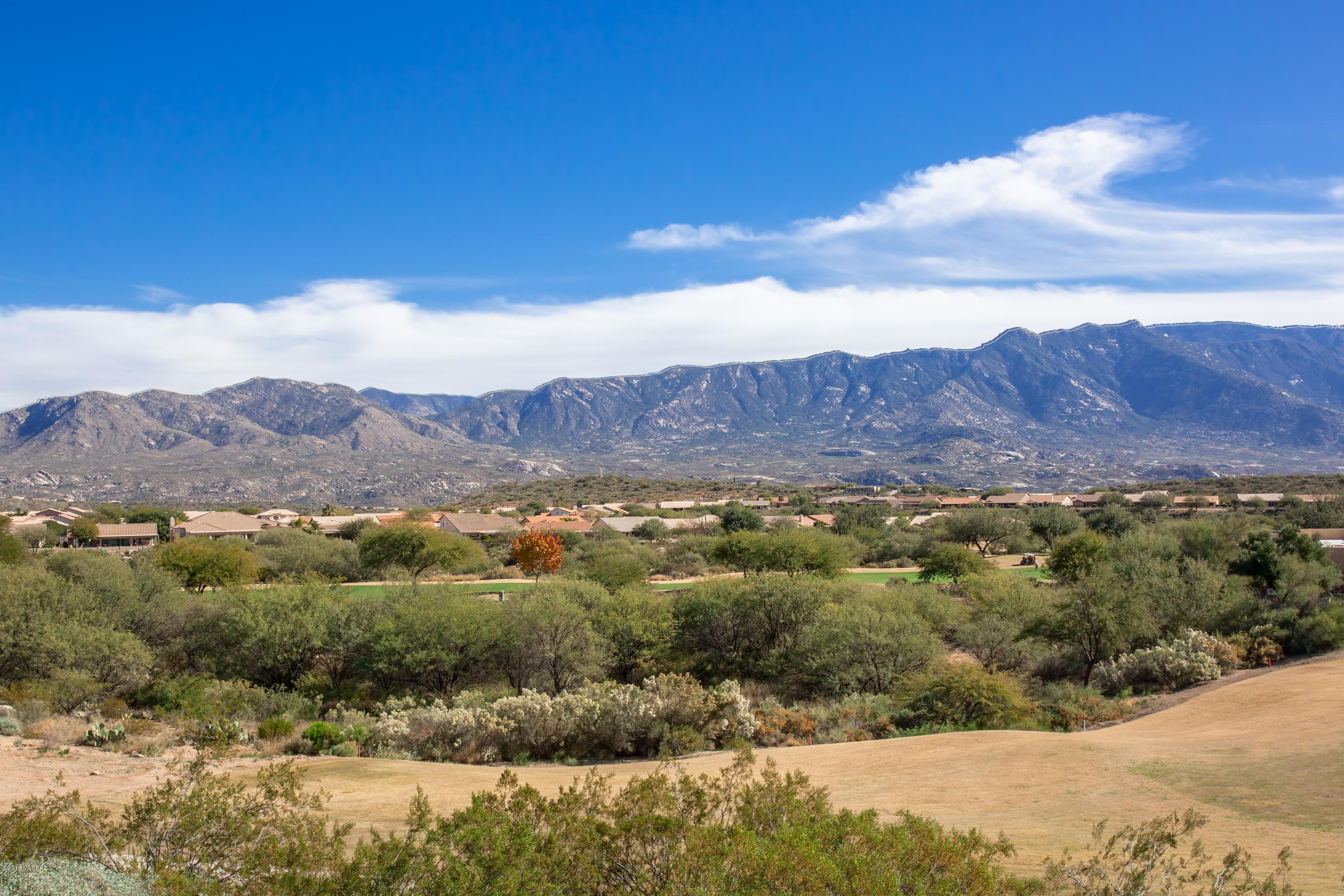 Saddlebrooke - Residential