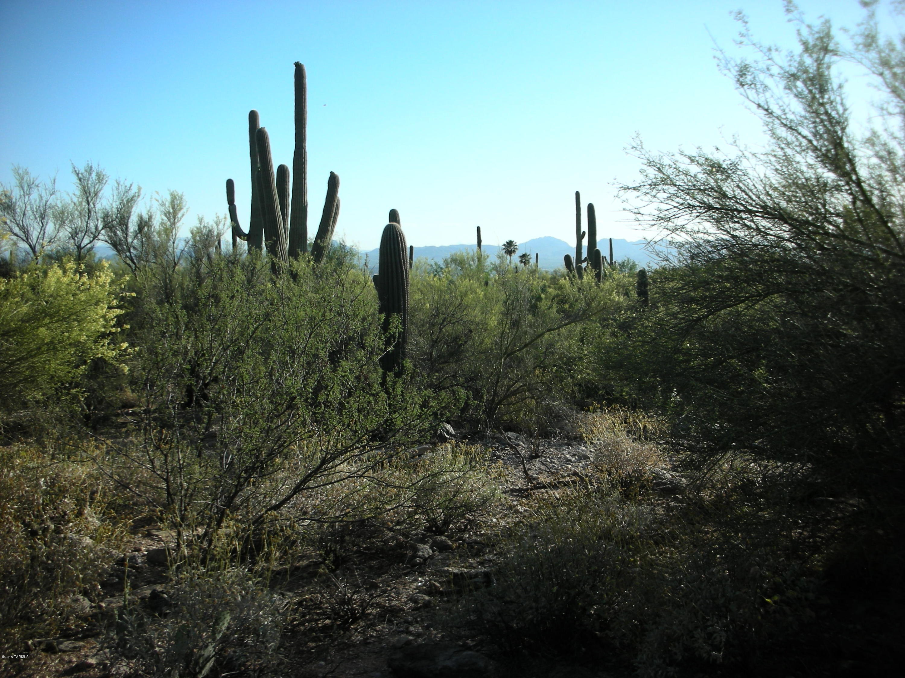 Foothills (The) - Land