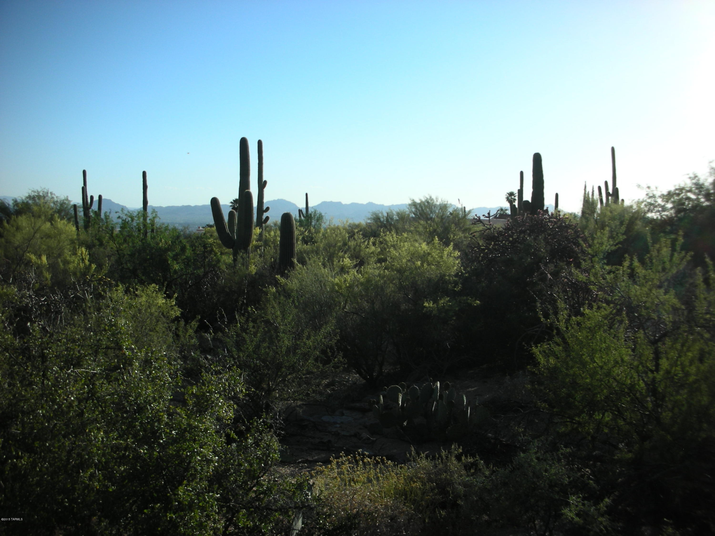 Foothills (The) - Land