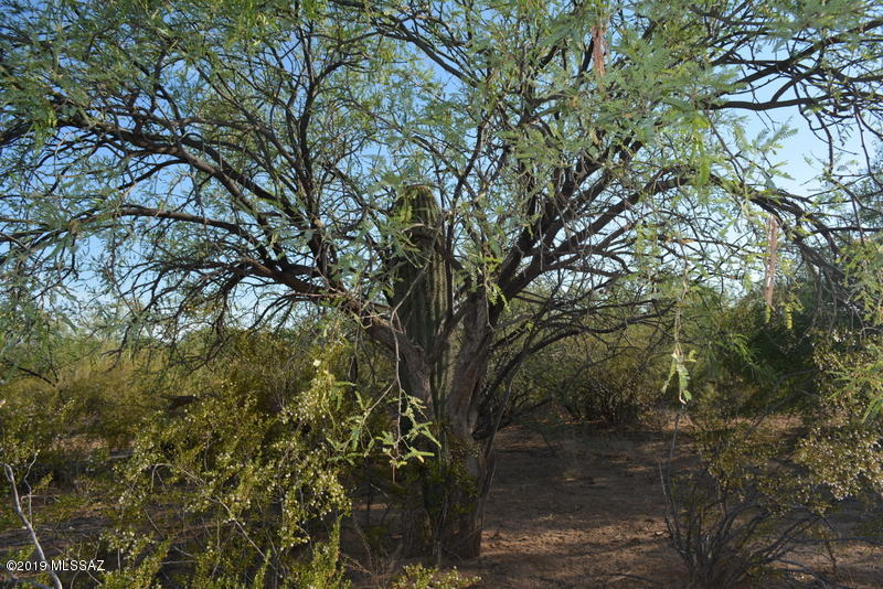 Great parcel of land that has majestic views of the Santa Rita Mountain range.  This 3.3acre parcel has 3 separate addresses and 3 separate tax codes and has been divided equally into 1.01 acres each OR you can keep it as one parcel. This land has desert landscape with mesquite  trees and saguaro cactus.  The land is level and ready to build on.  There are electrical utilities already set up and all 3 properties are on a well share.  Fantastic opportunity to start fresh and develop and build your dream home with horse property.