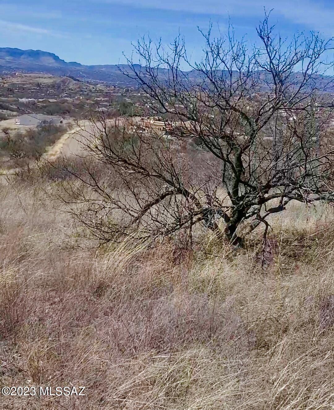 Rio Rico Estates - Land