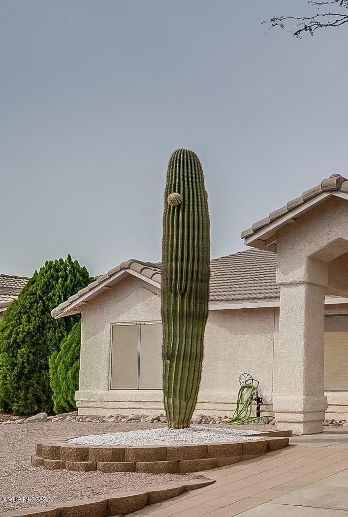 Elliott Homes At Rita Ranch (1-521) - Residential