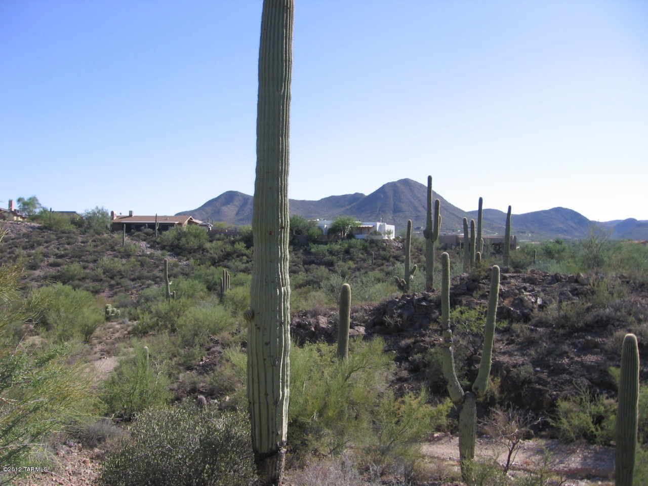 Vista De La Sierra De Dios - Land