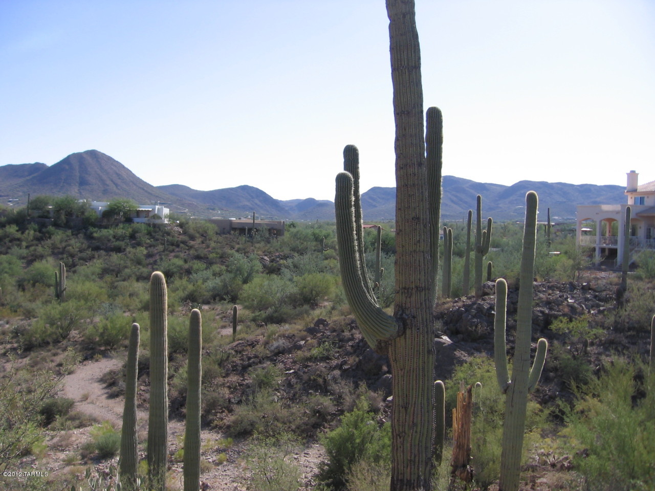 Build the Home of Your Dreams on This Saguaro Studded Lot with Unique Rock Formations and Wonderful Natural Desert Valley Views with the Catalina Mountains and City Lights in the Distance. Utilities to lot line. Owner May Carry! Owners will consider all offers.