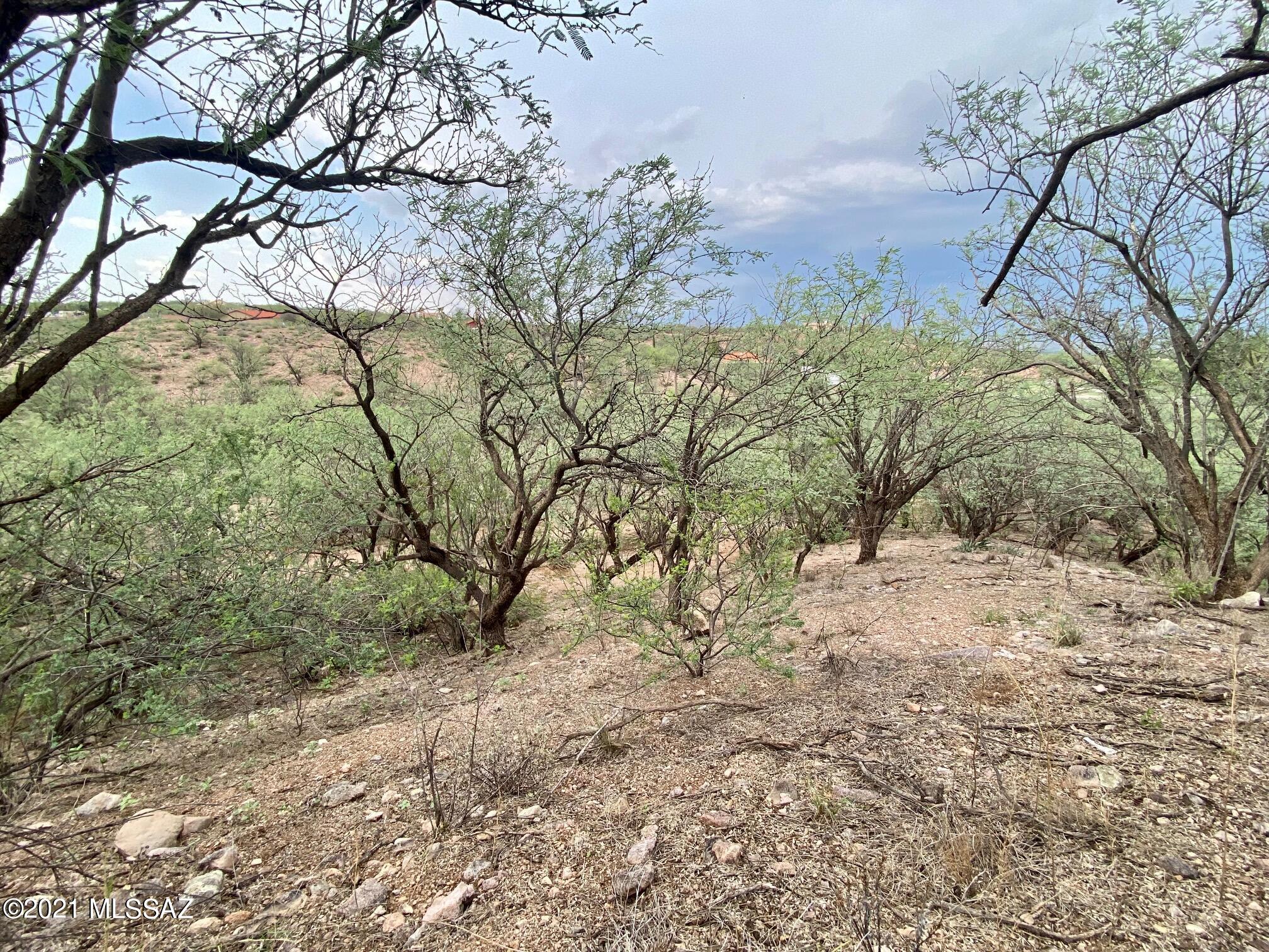 Accepting Back up offers!! Build your dream home in Arizona's best kept secret, Rio Rico. Where everything is just better, cooler weather, quieter, starrier skies, and laid back. Rio rico is about an hour to Tucson, and 20 minutes to Nogales and Tubac. 
Buyer to verify utilities but they should be at the lot line.
Seller is willing to carry the note with negotiable terms.