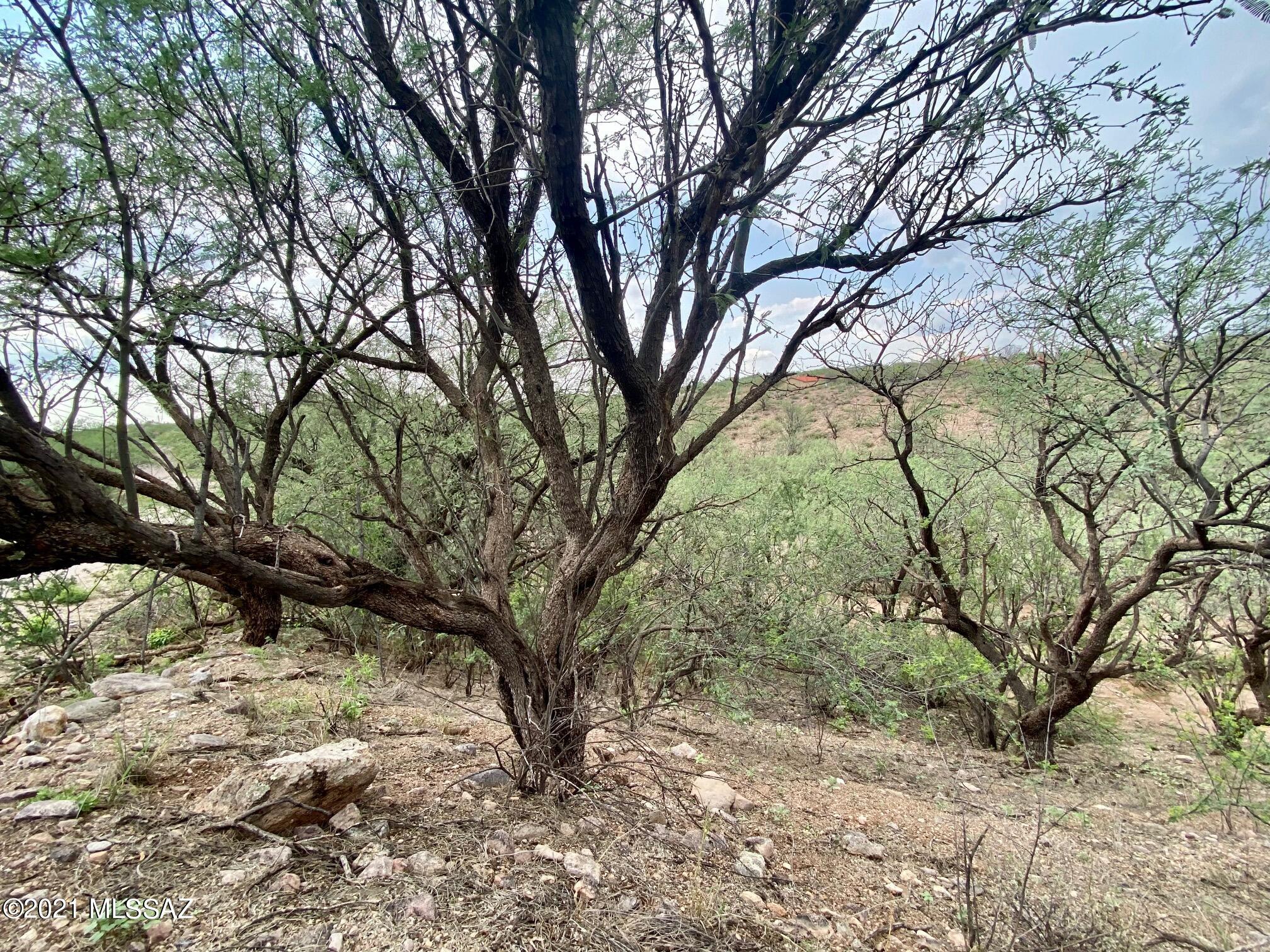Rio Rico Estates - Land