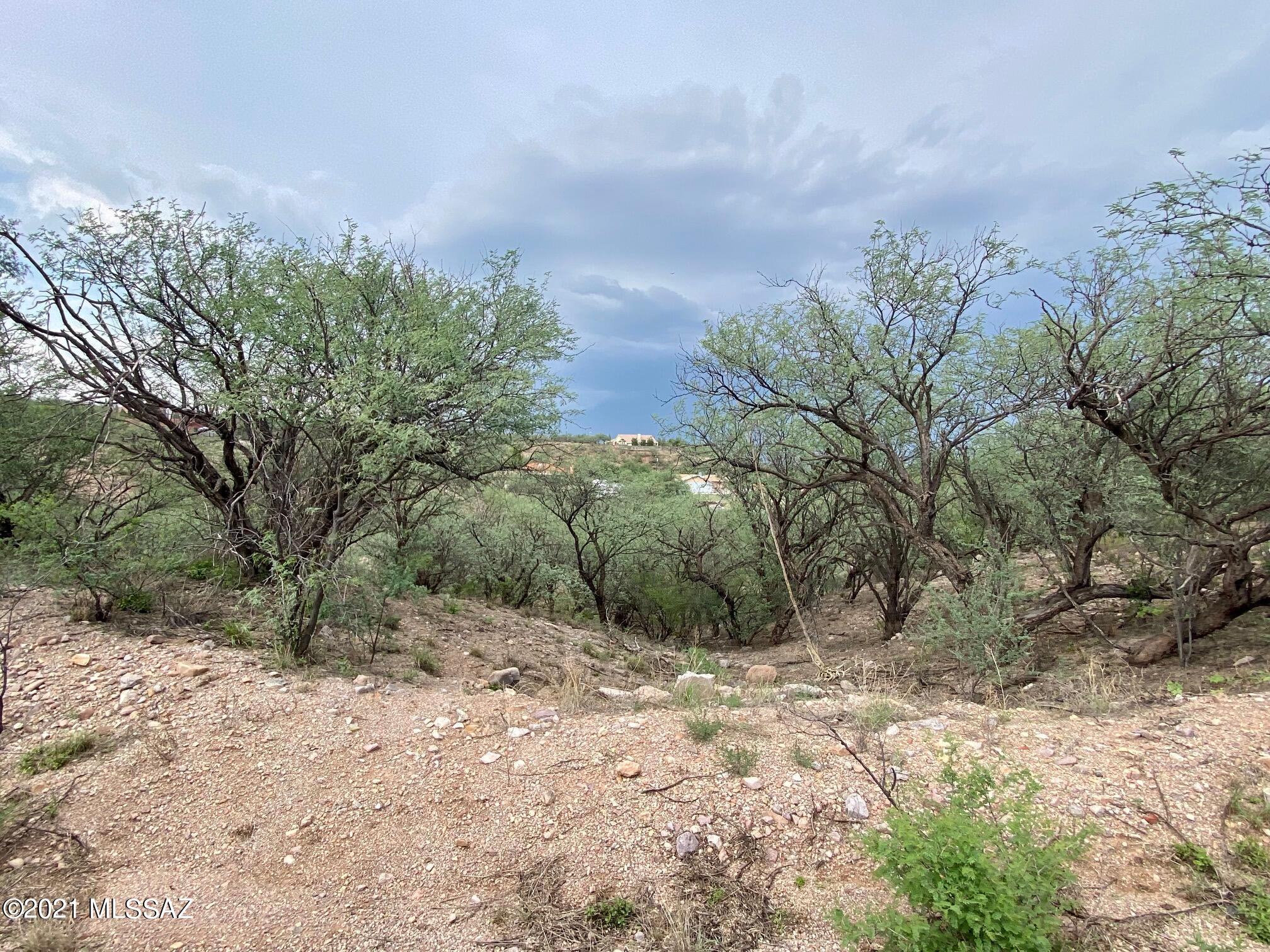 Rio Rico Estates - Land