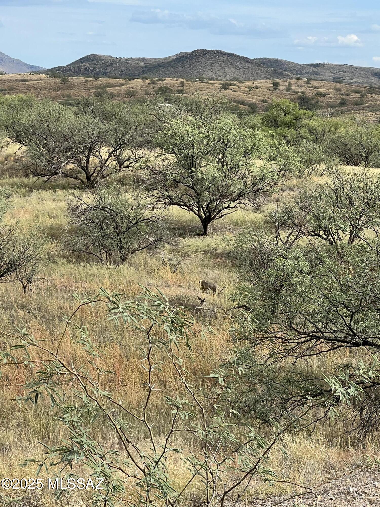 Arivaca Lake Est - Land