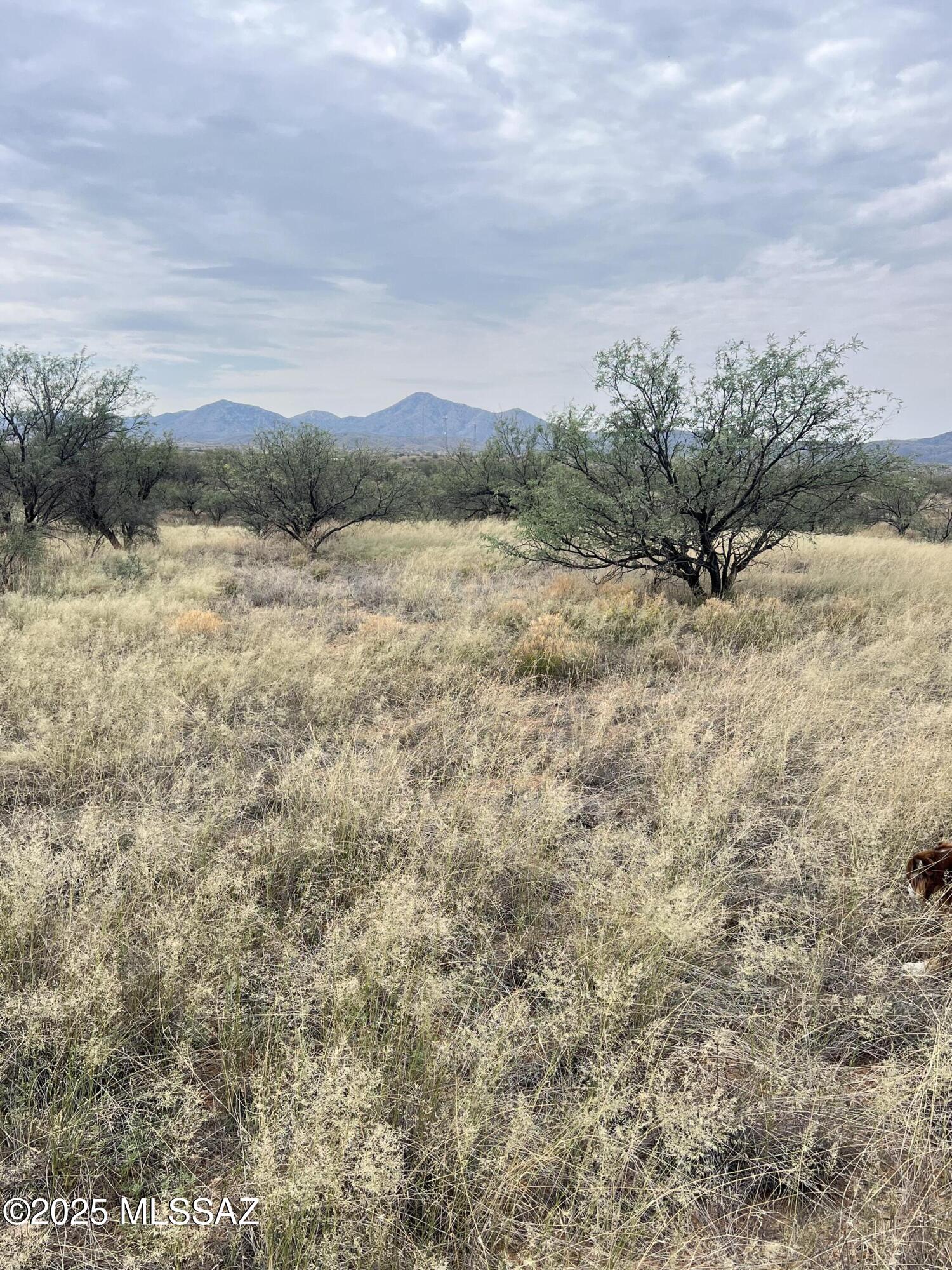 Arivaca Lake Est - Land