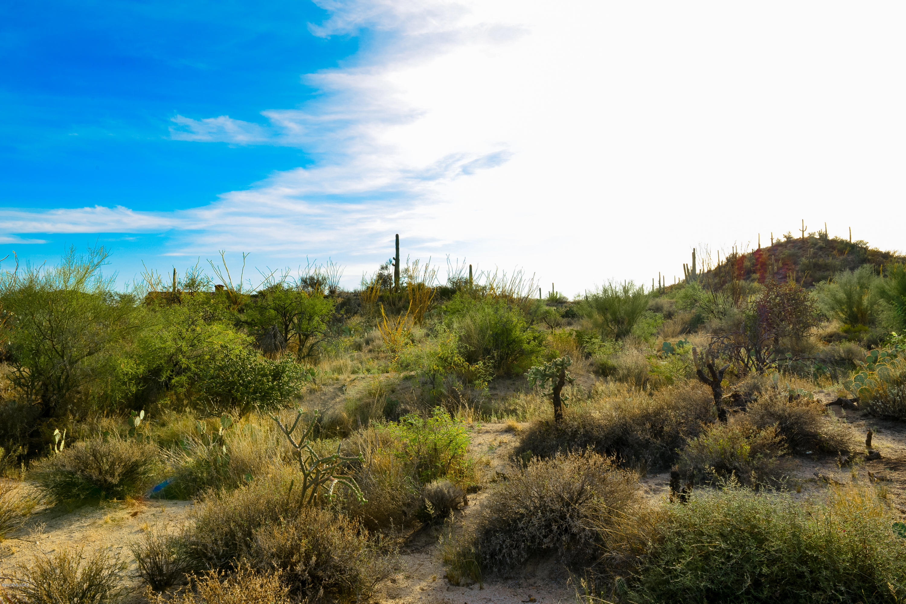 Stone Canyon II - Land