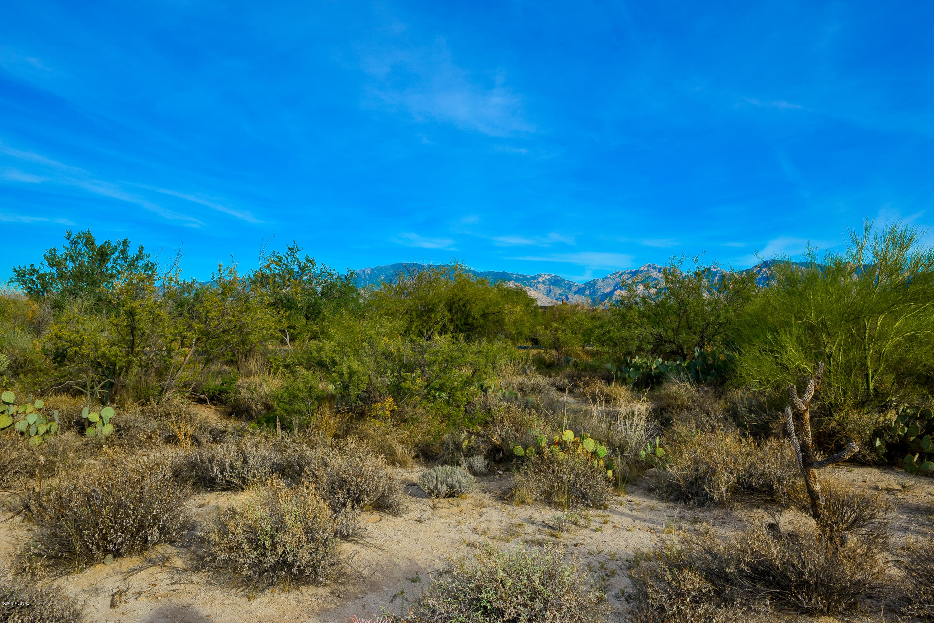 Stone Canyon II - Land