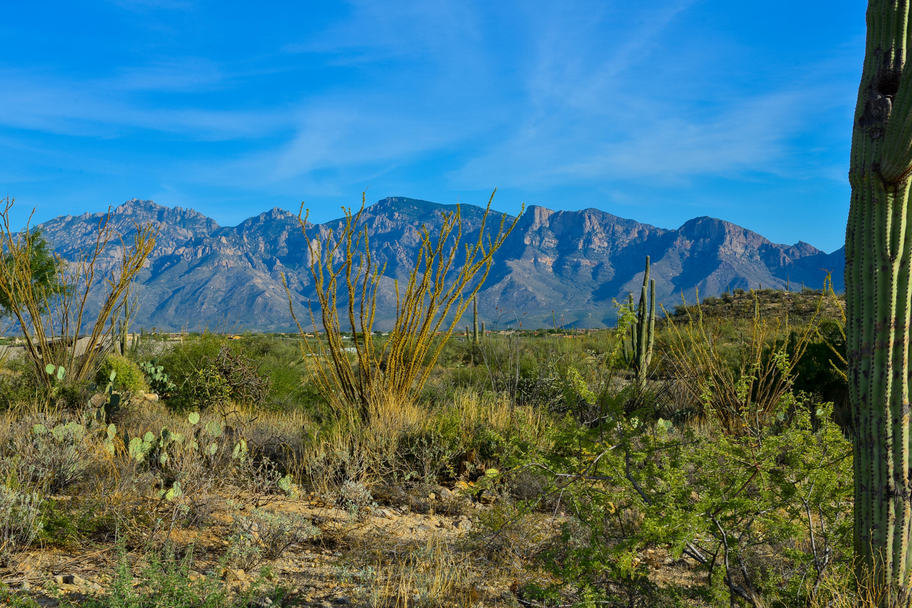 Great over an acre building lot in Stone Canyon with sloped elevation offering multiple view options: Catalina Mtns and/or Tortolita Mtns (sunrise or sunset). Build your dream home when ready. Stone Canyon is an exclusive guard-gated private golf community located in Rancho Vistoso, a master planned development within Oro Valley (check town website for accolades!). Golf the stunning. championship Jay Morrish-designed desert course seen on TV's Match III charity golf event with Phil Mickelson 11/27/2020.  Enjoy fabulous private Club amenities: restaurant, 2 pools, tennis & exercise facilities. Club owned by Arcis Golf. You'll be amazed by the views and awestruck by the golf course and fabulous scenery (best in Tucson). Club Membership req'd (Social Membership included with acceptable offer)