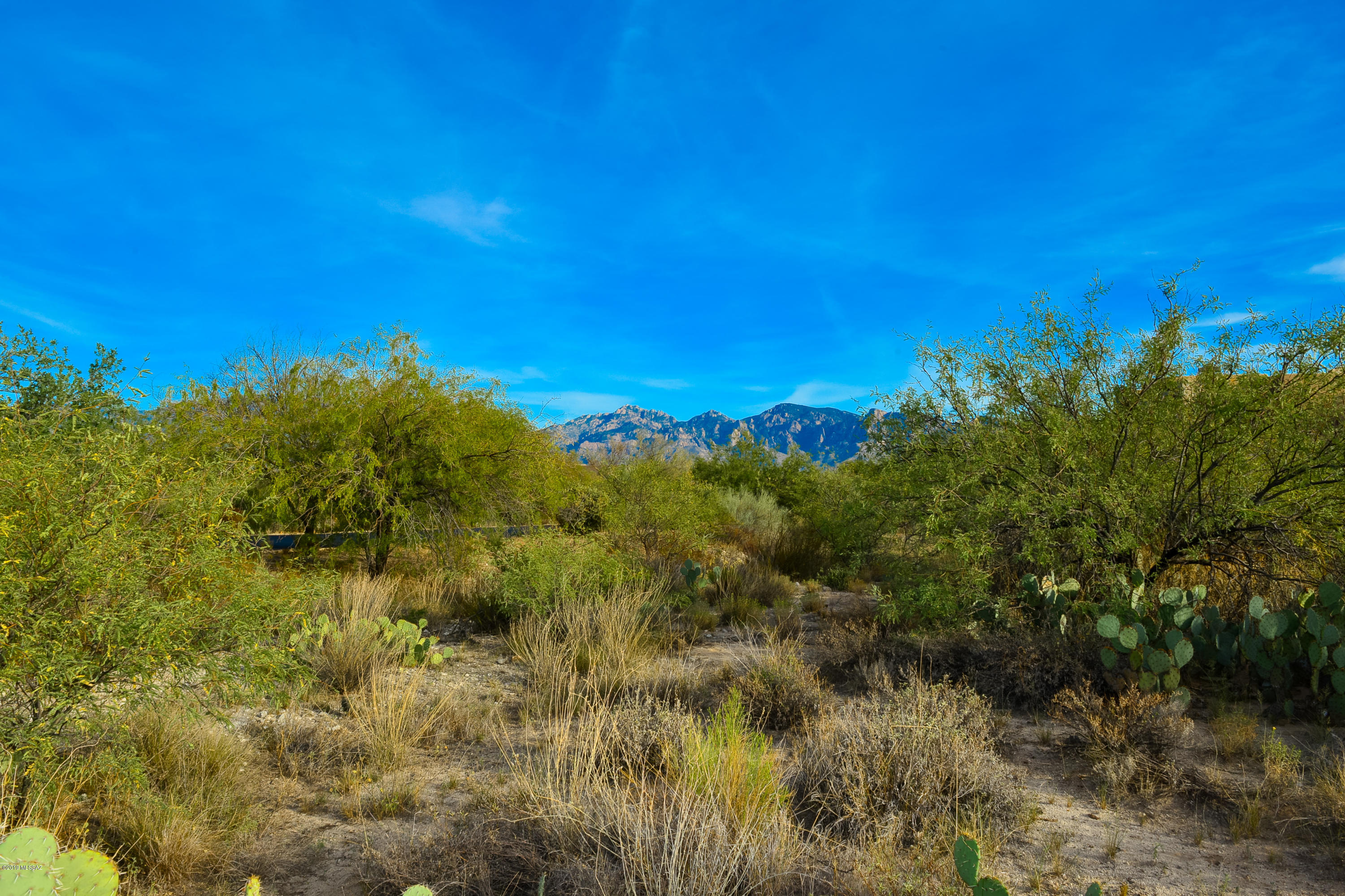 Stone Canyon II - Land