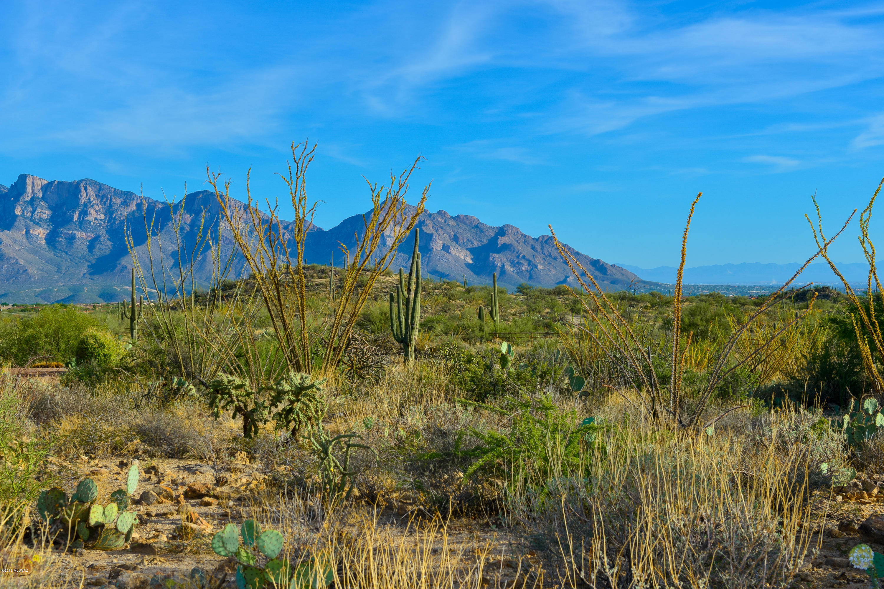 Stone Canyon II - Land