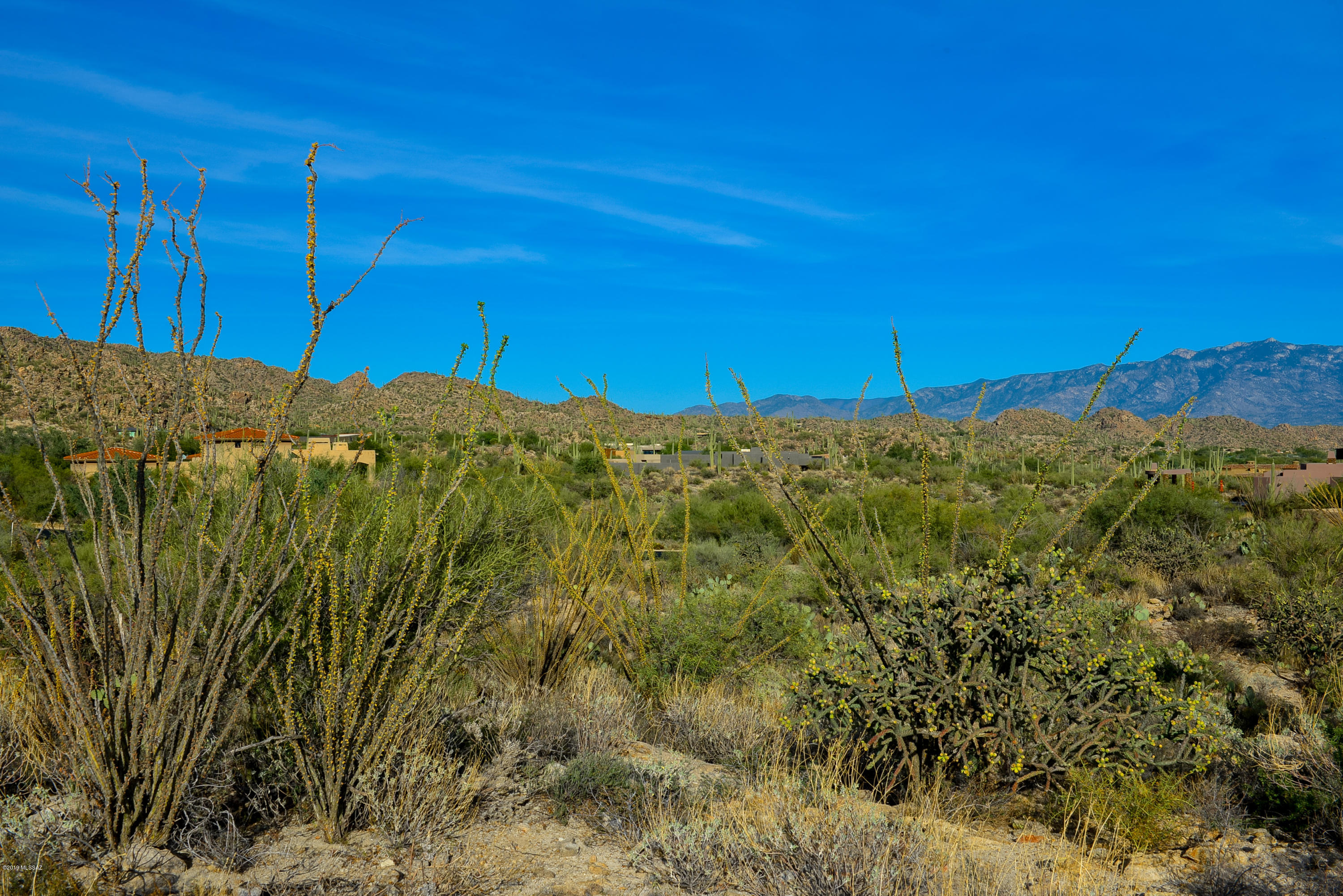 Stone Canyon II - Land